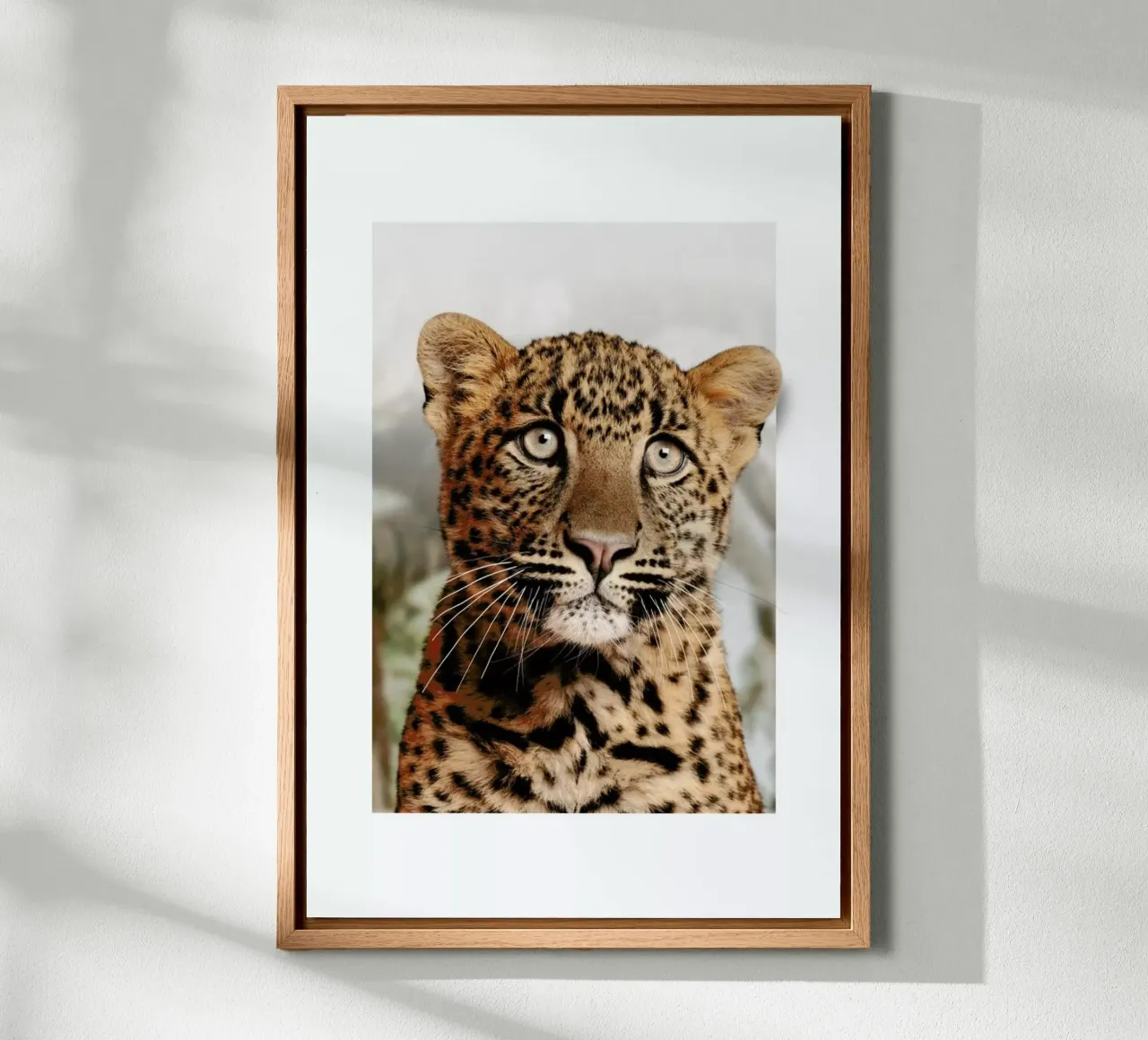 LEOPARD CUB alluminio dibond da JONAS LOOSE KIDS