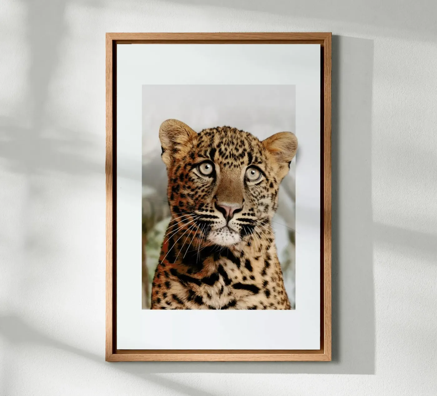 LEOPARD CUB forex-plaat van JONAS LOOSE KIDS