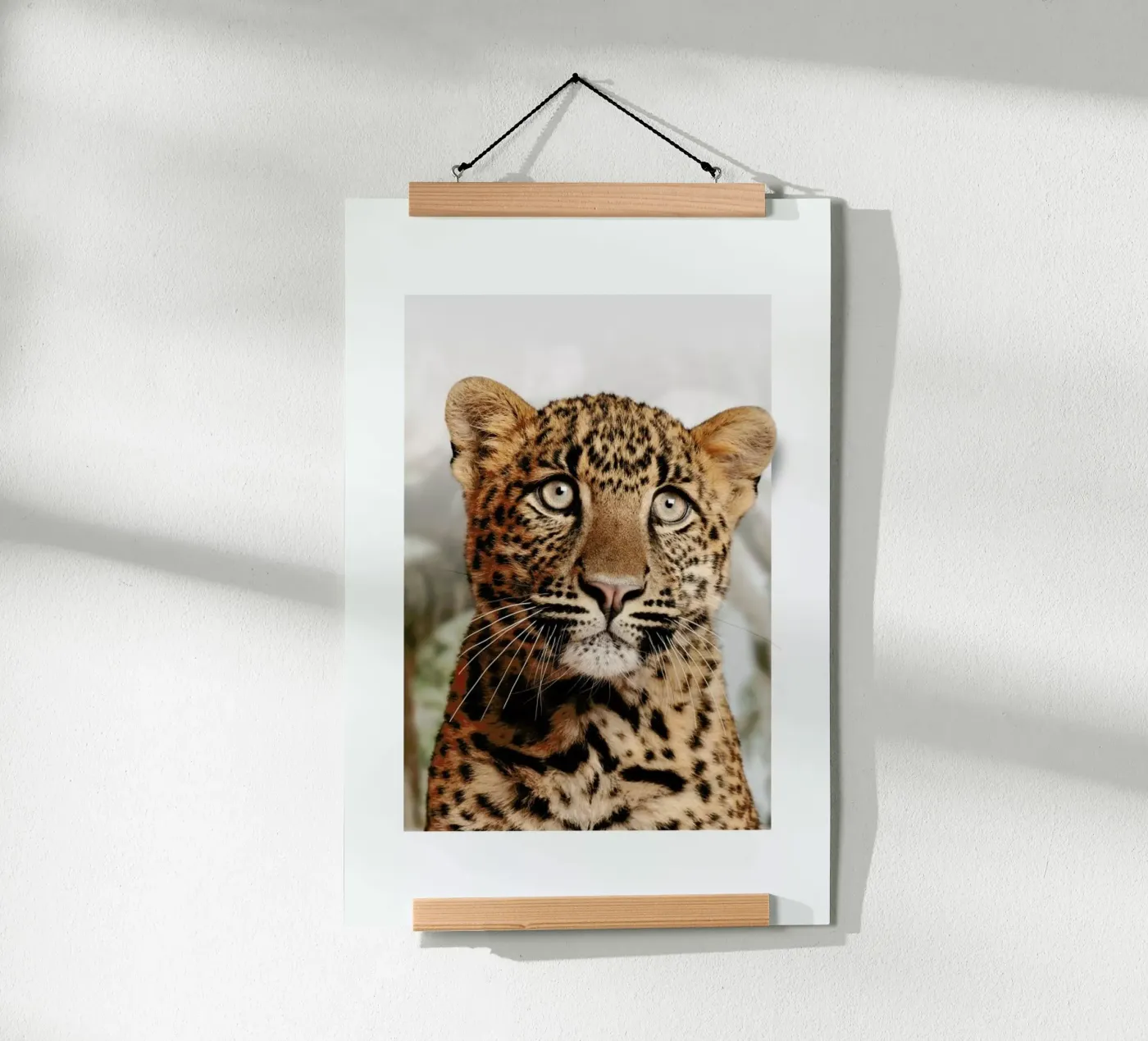LEOPARD CUB Poster von JONAS LOOSE KIDS
