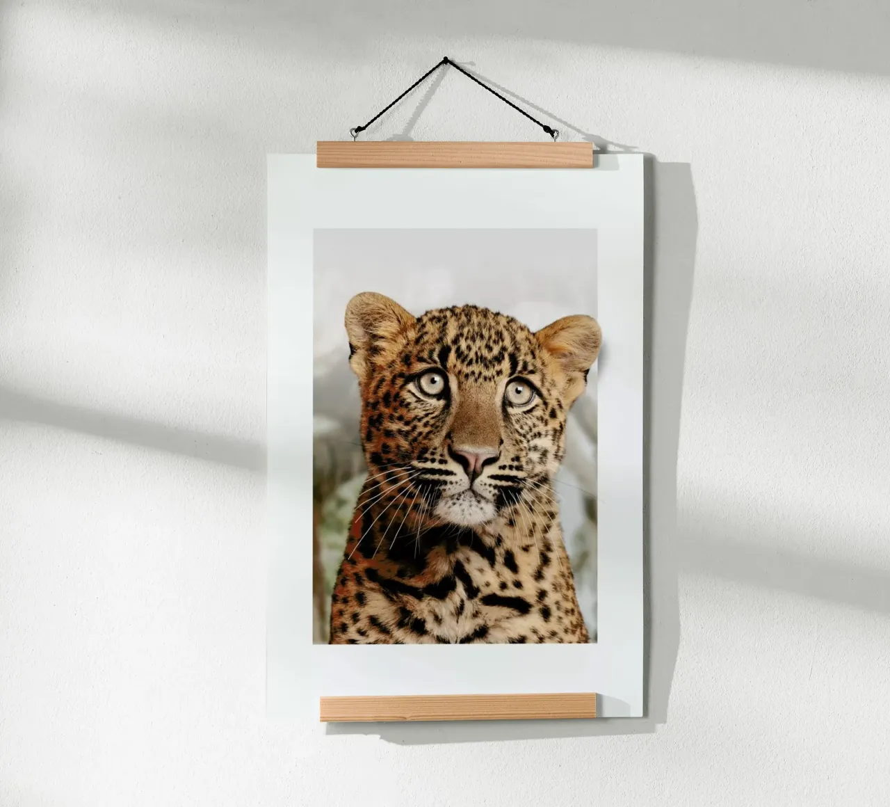 LEOPARD CUB poster da JONAS LOOSE KIDS