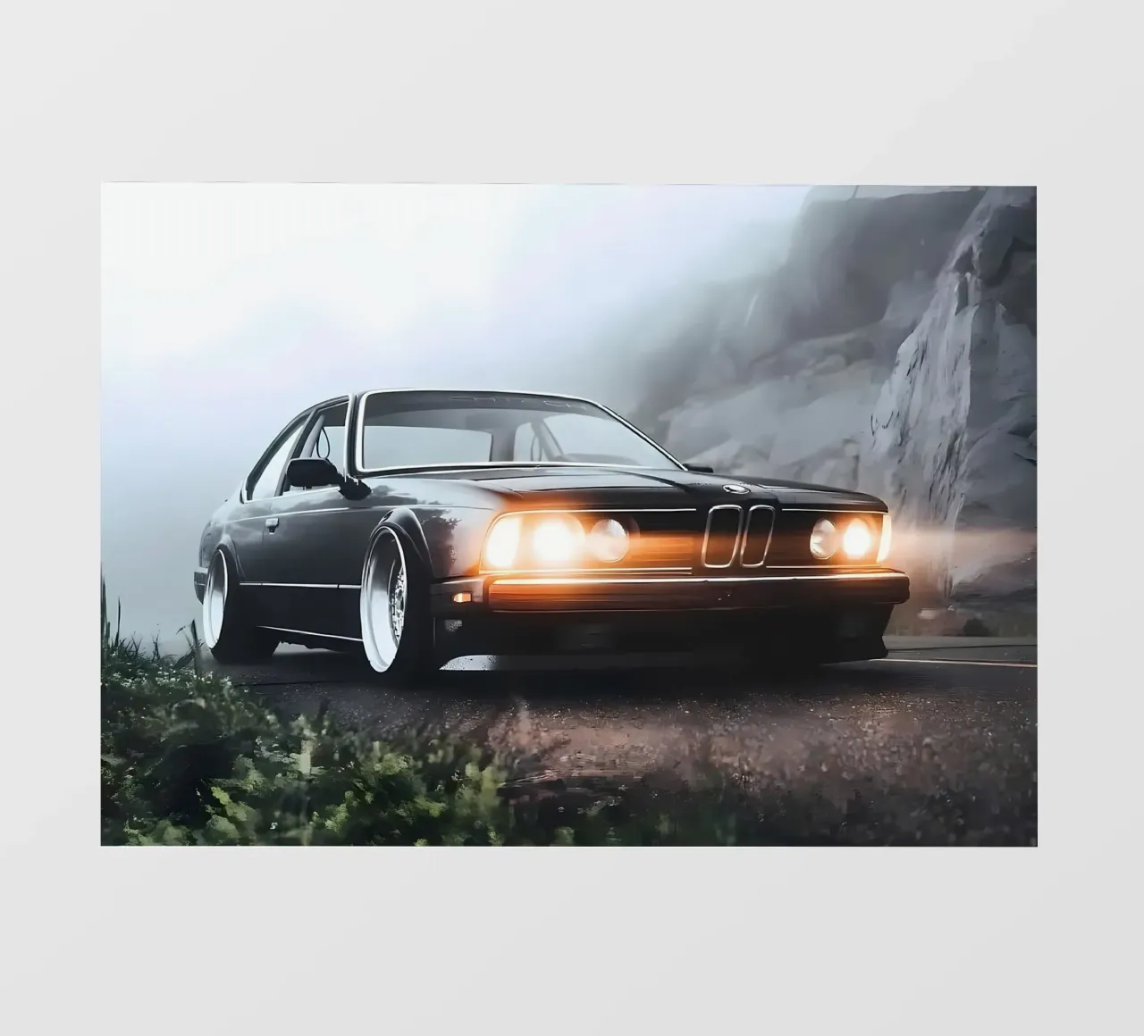 BMW e24 telo in pvc da diedrich
