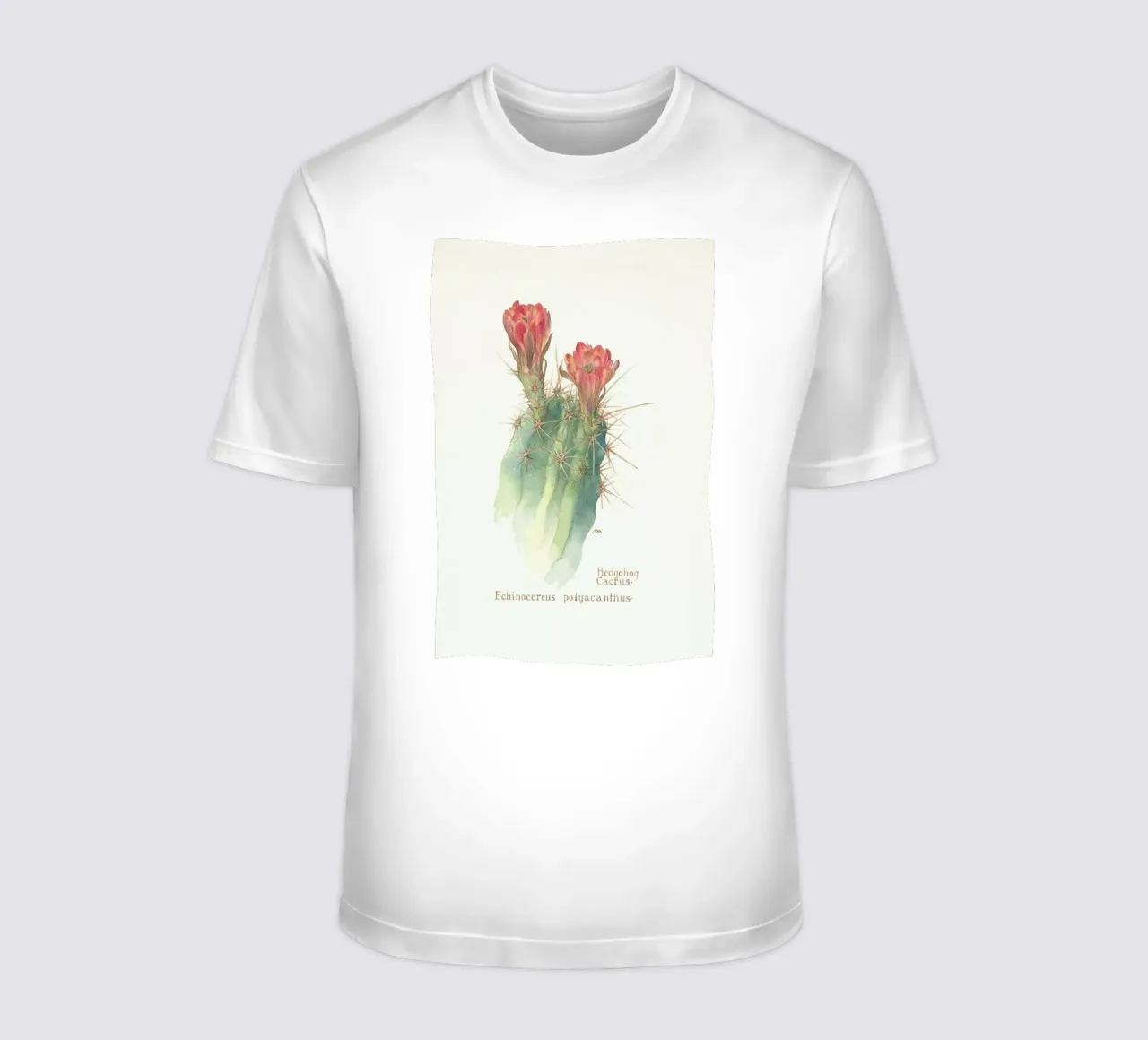 Hedgehog Cactus, Echinocereus Polyacanthus t-shirt da Artokoloro Quint Lox Ltd