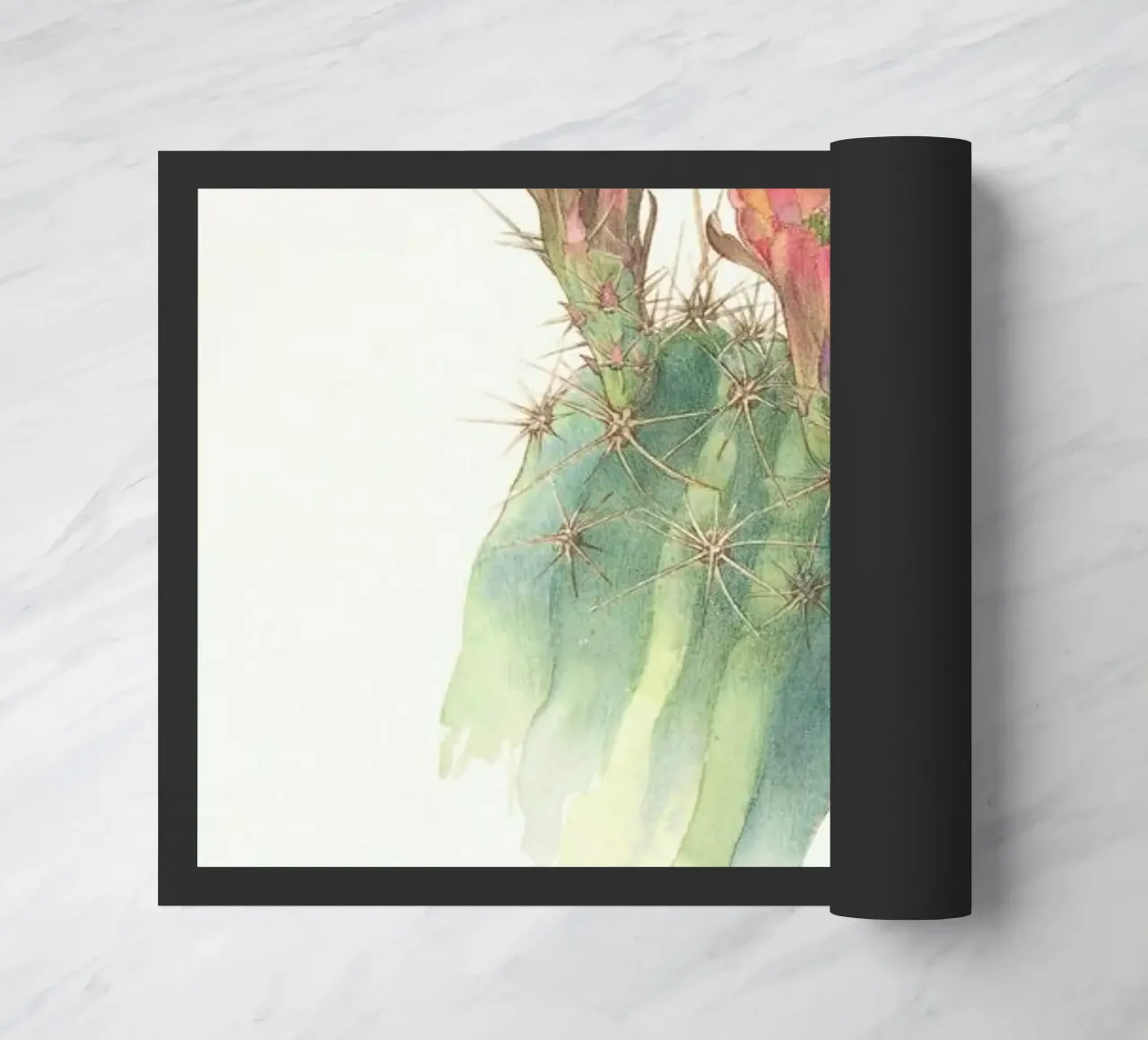 Hedgehog Cactus, Echinocereus Polyacanthus zerbino da Artokoloro Quint Lox Ltd