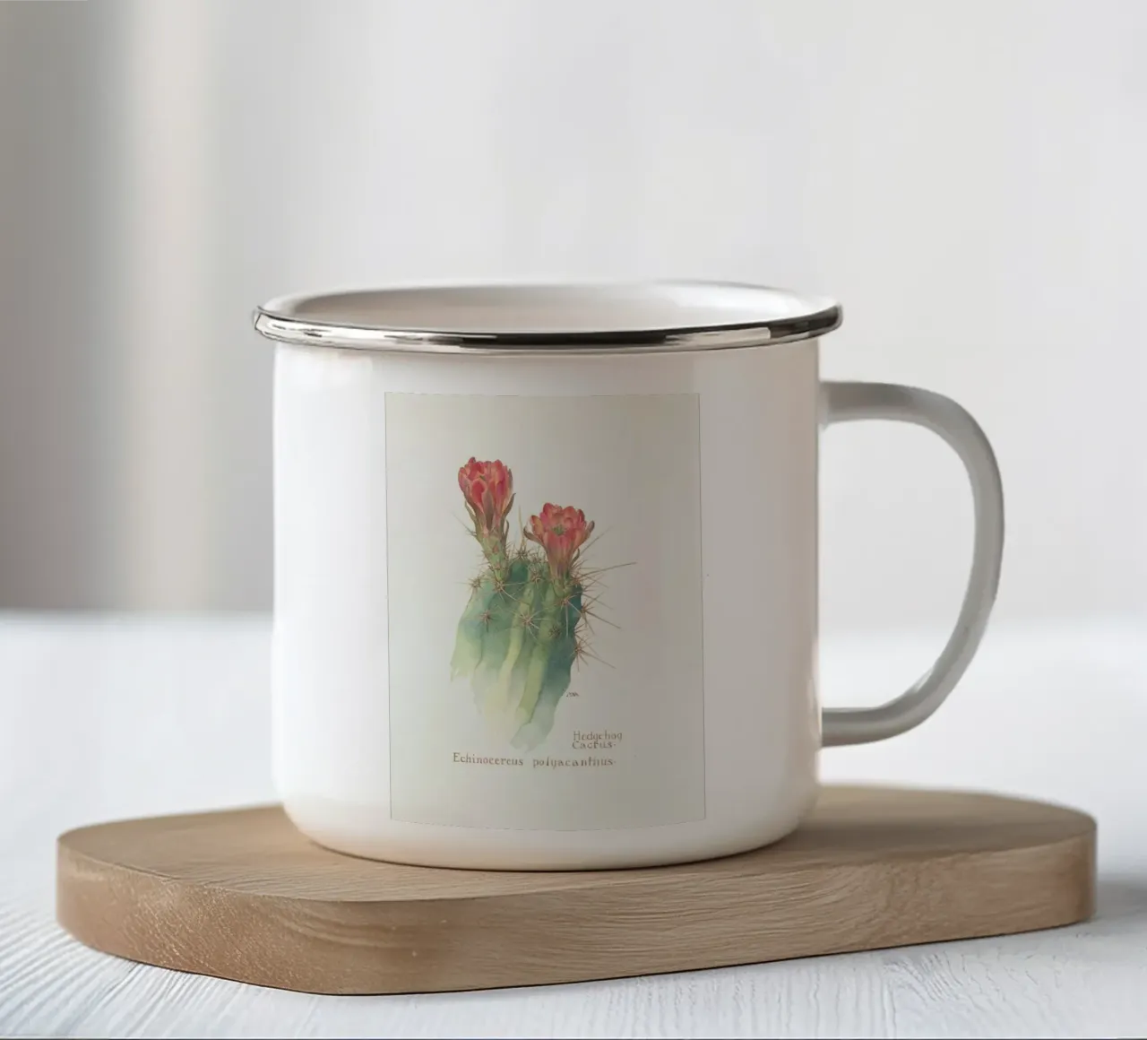 Hedgehog Cactus, Echinocereus Polyacanthus tazza in smalto da Artokoloro Quint Lox Ltd