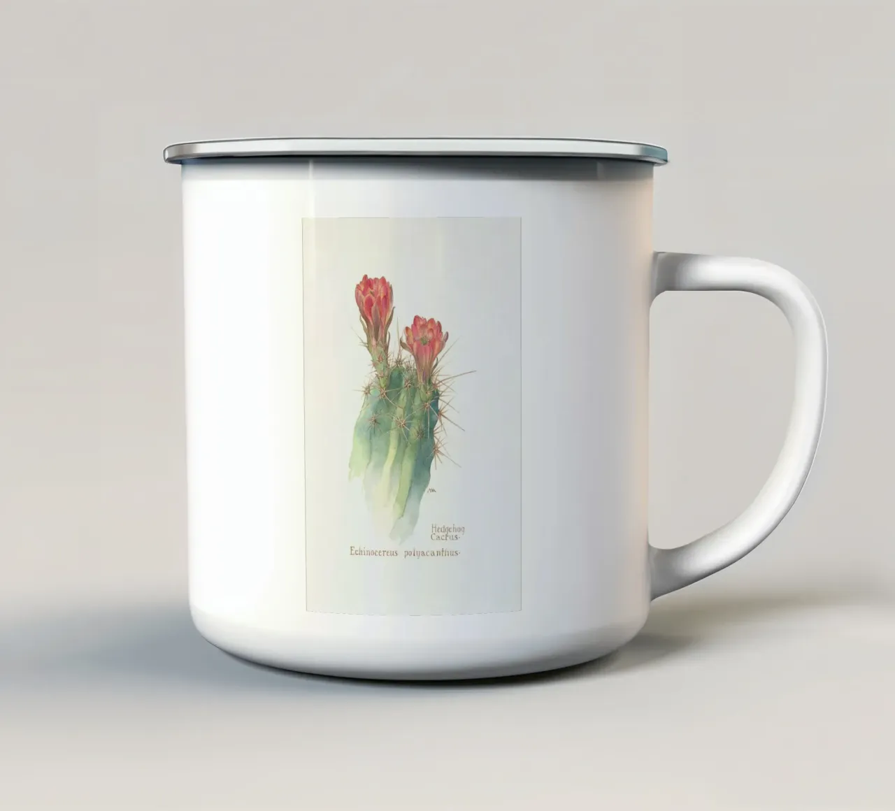 Hedgehog Cactus, Echinocereus Polyacanthus tazza in smalto da Artokoloro Quint Lox Ltd