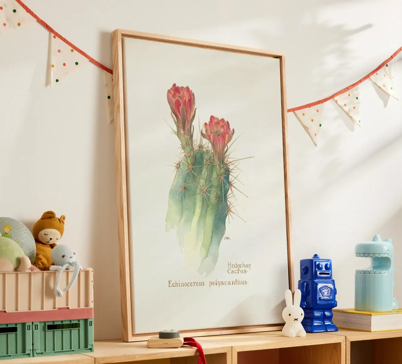 Hedgehog Cactus, Echinocereus Polyacanthus tela con Cornice a cassetta da Artokoloro Quint Lox Ltd