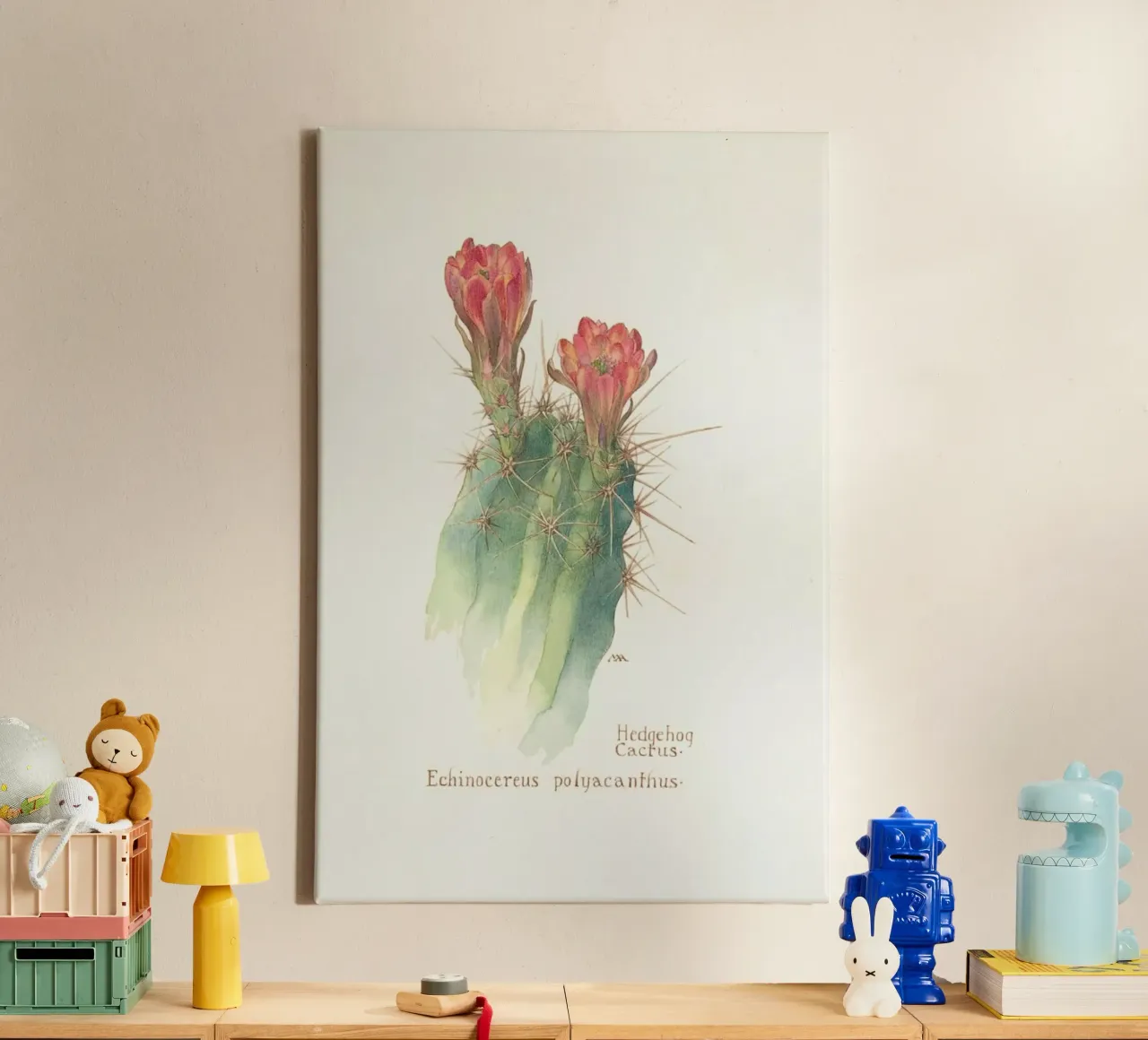 Hedgehog Cactus, Echinocereus Polyacanthus tela con Cornice a cassetta da Artokoloro Quint Lox Ltd