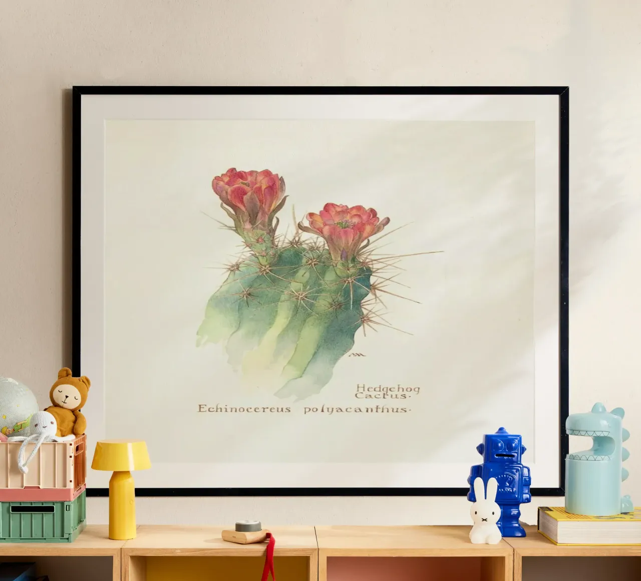 Hedgehog Cactus, Echinocereus Polyacanthus carta hahnemühle da Artokoloro Quint Lox Ltd