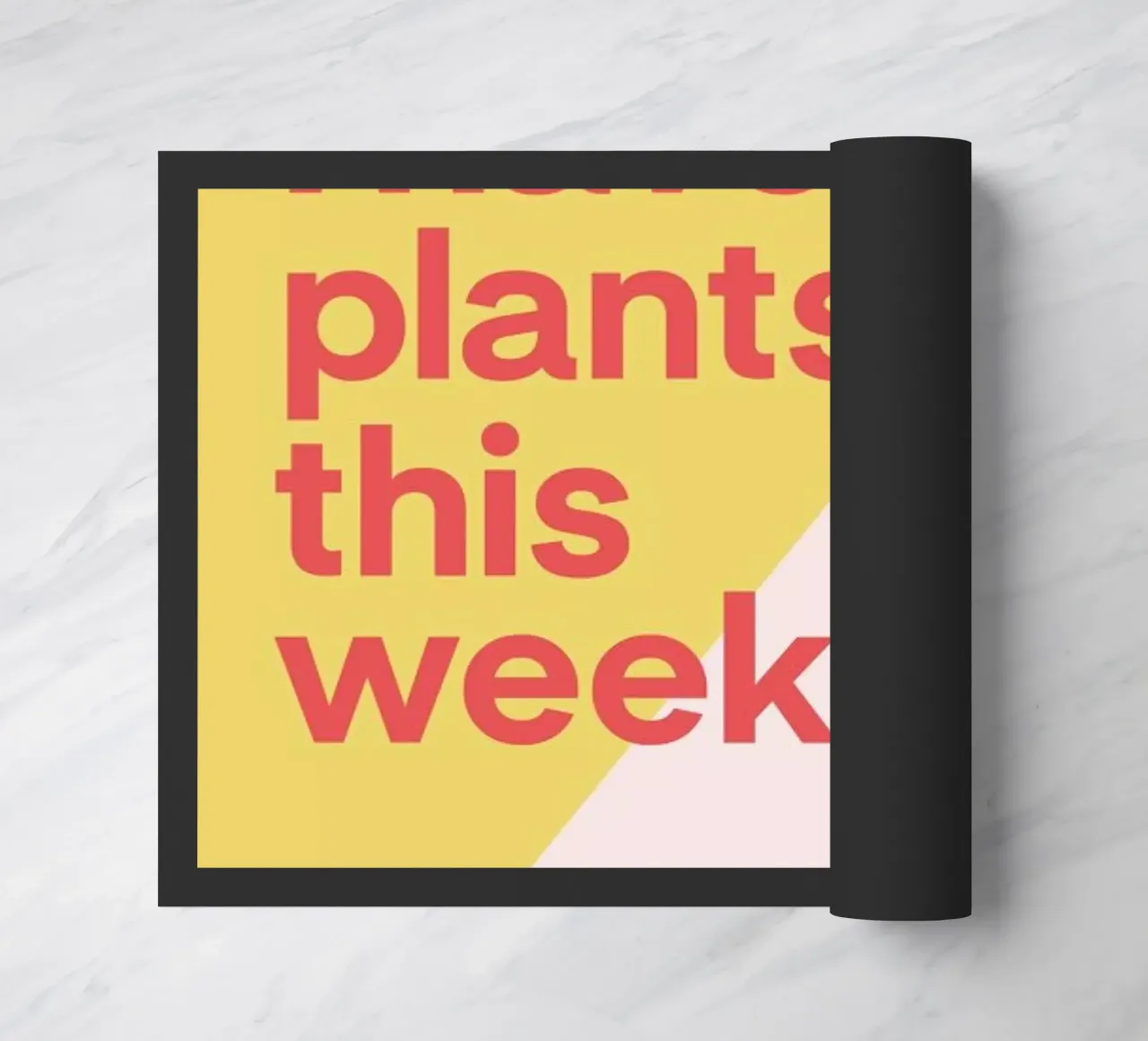 Weekend zerbino da Evita Witzenhausen