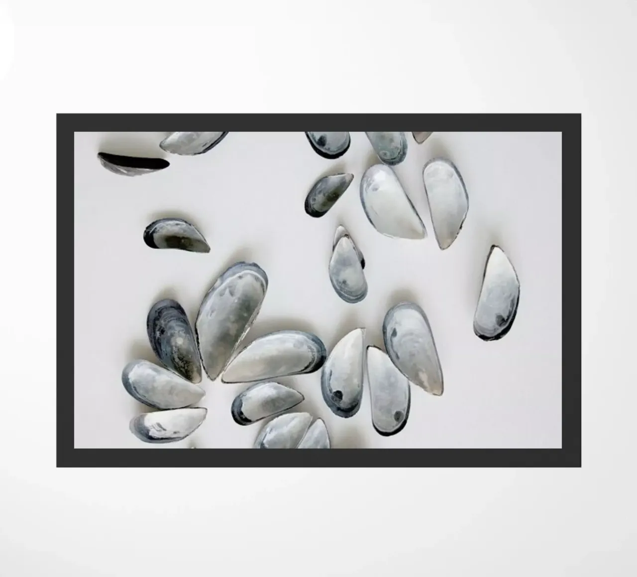 Memories of the Sea II zerbino da Studio Nahili