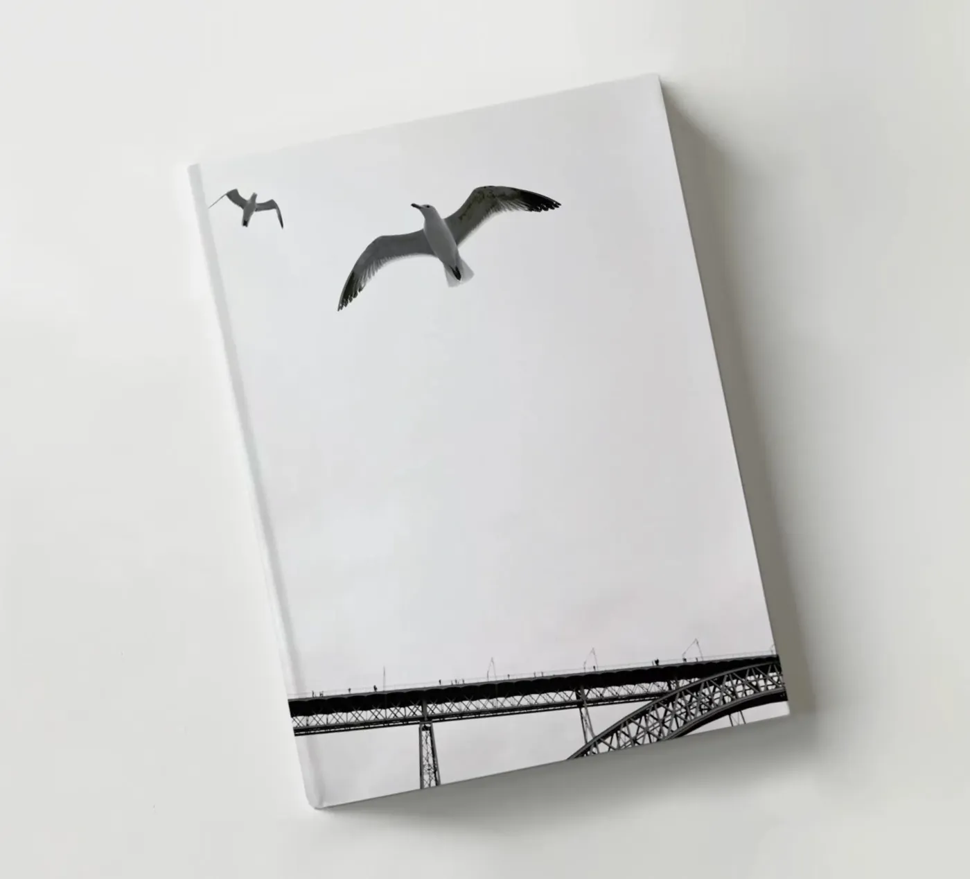 Perspective notebook by Sebastian Hilgetag