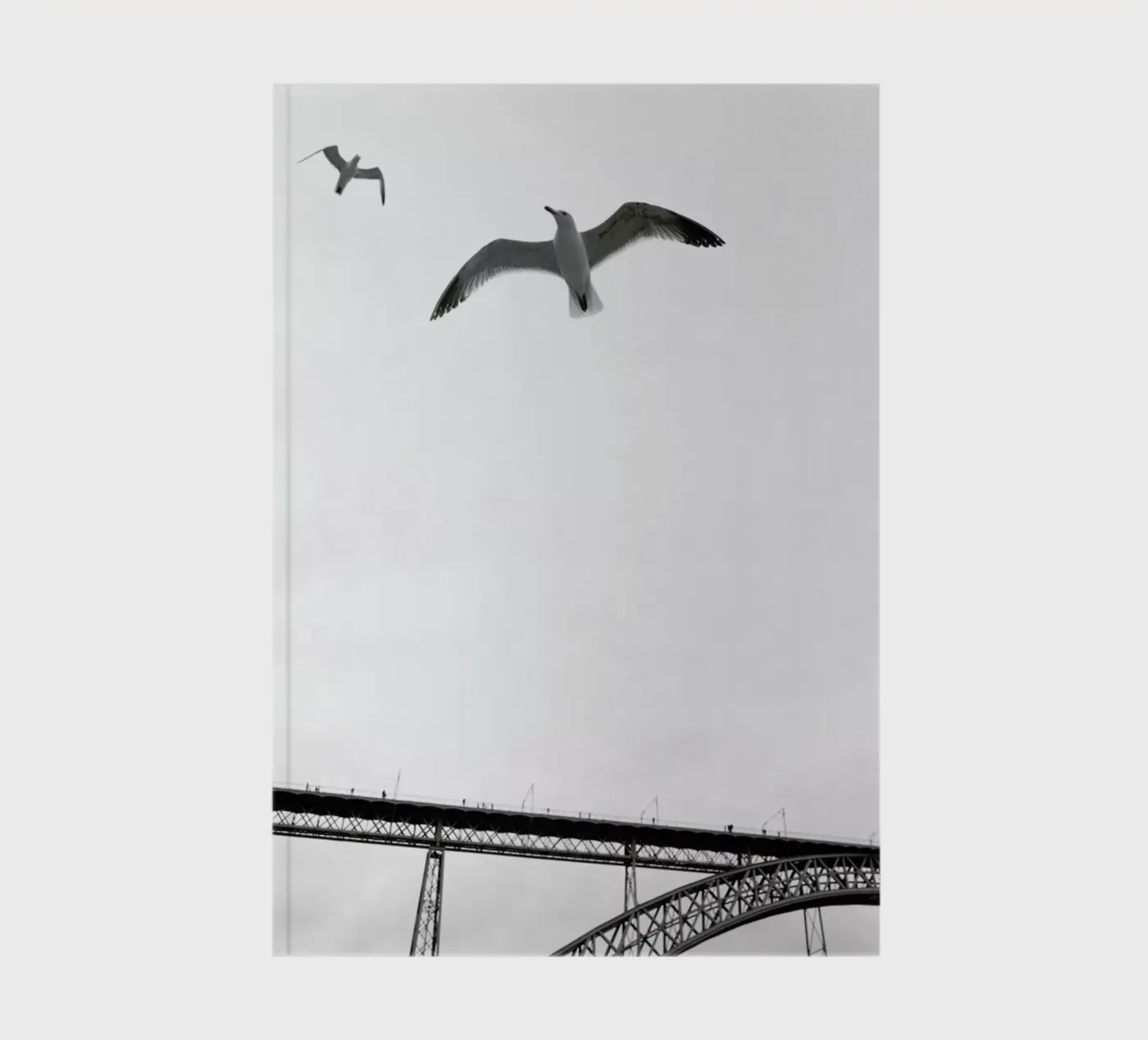 Perspective notebook by Sebastian Hilgetag