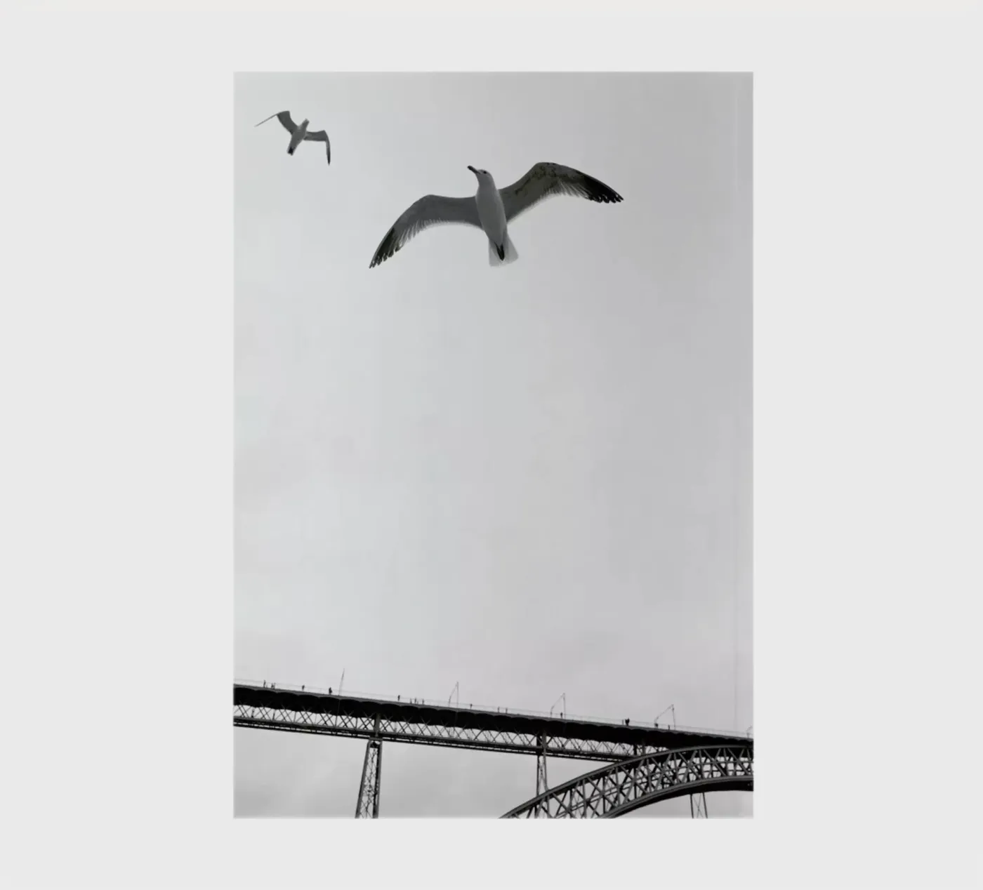 Perspective notebook by Sebastian Hilgetag