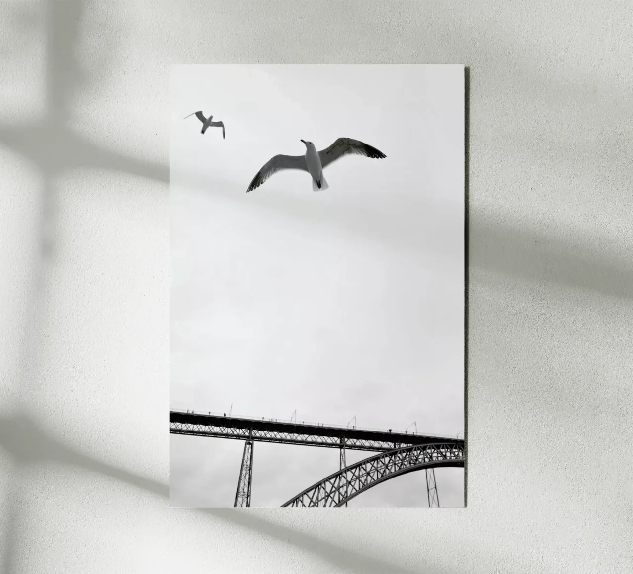 Perspective forex plate by Sebastian Hilgetag