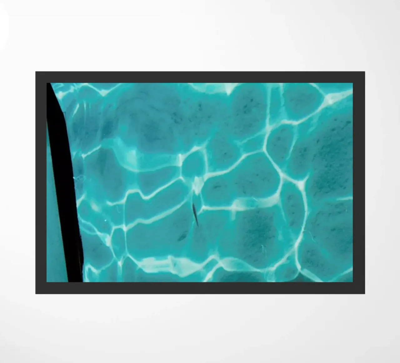 Blue Water zerbino da Sebastian Hilgetag