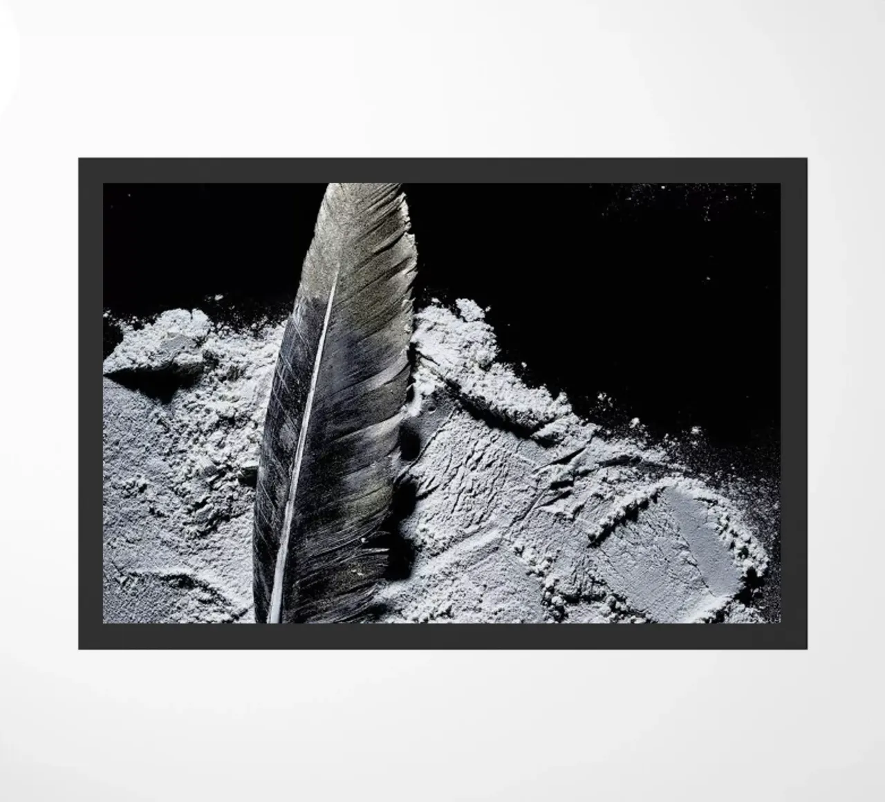 Federn 2 zerbino da neon* fotografie