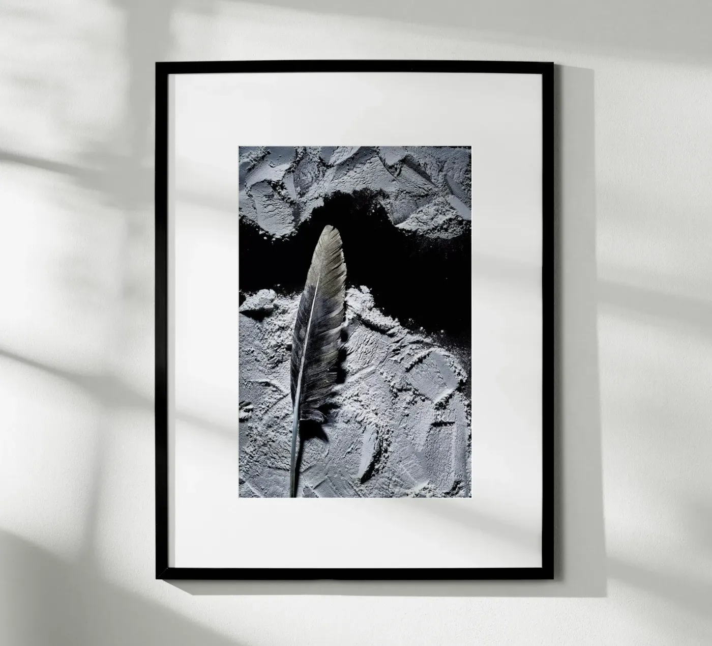 Federn 2 poster by neon* fotografie