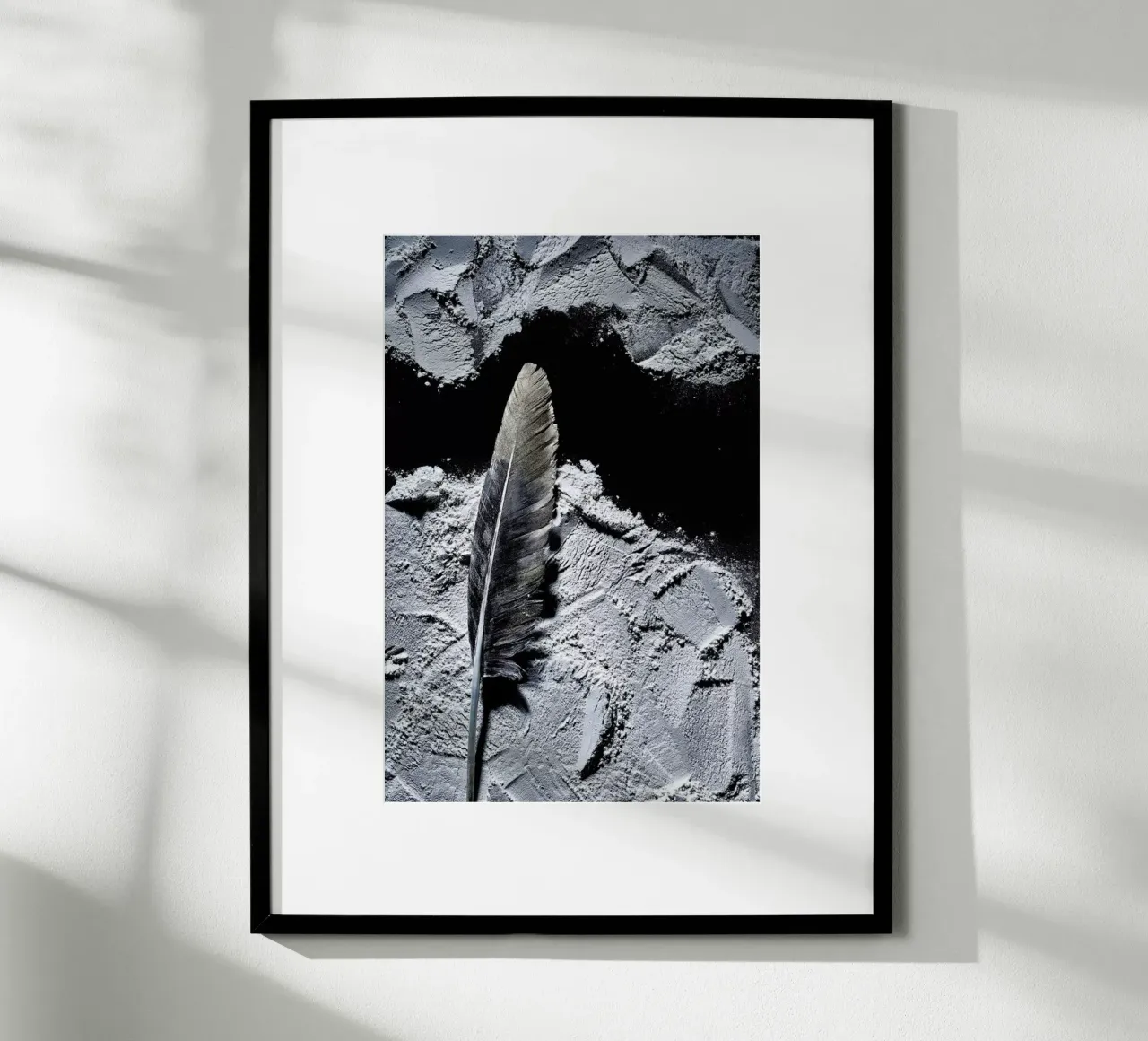 Federn 2 poster da neon* fotografie