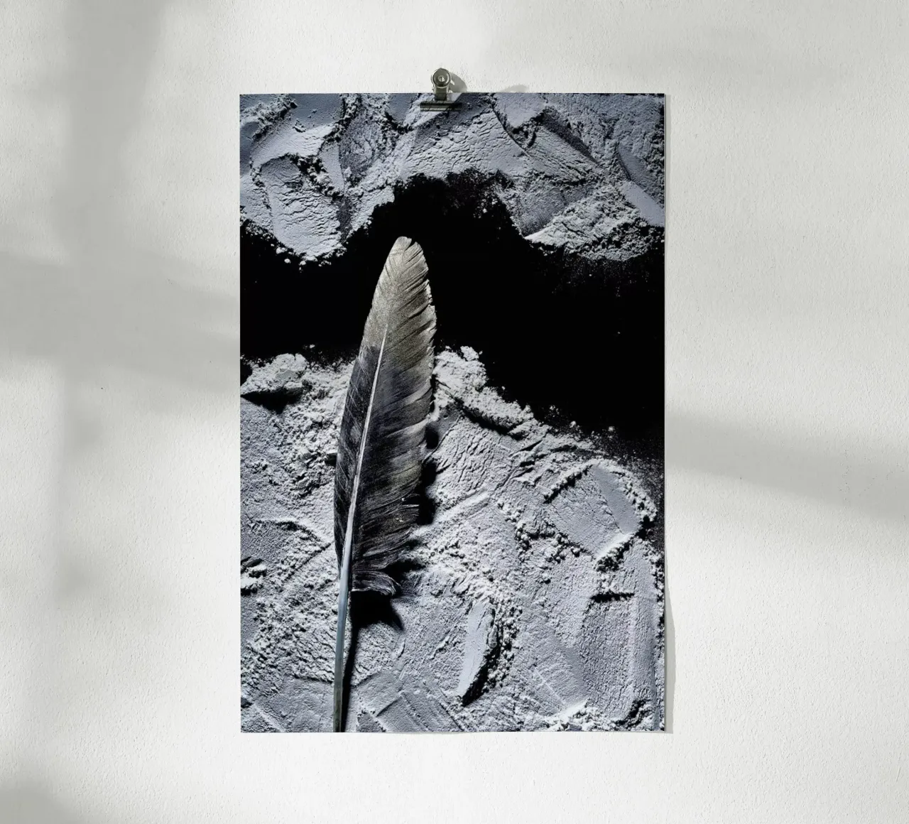 Federn 2 poster da neon* fotografie