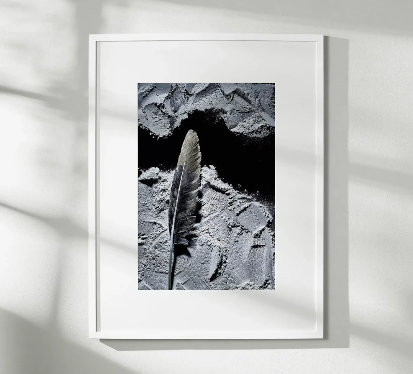 Federn 2 poster by neon* fotografie