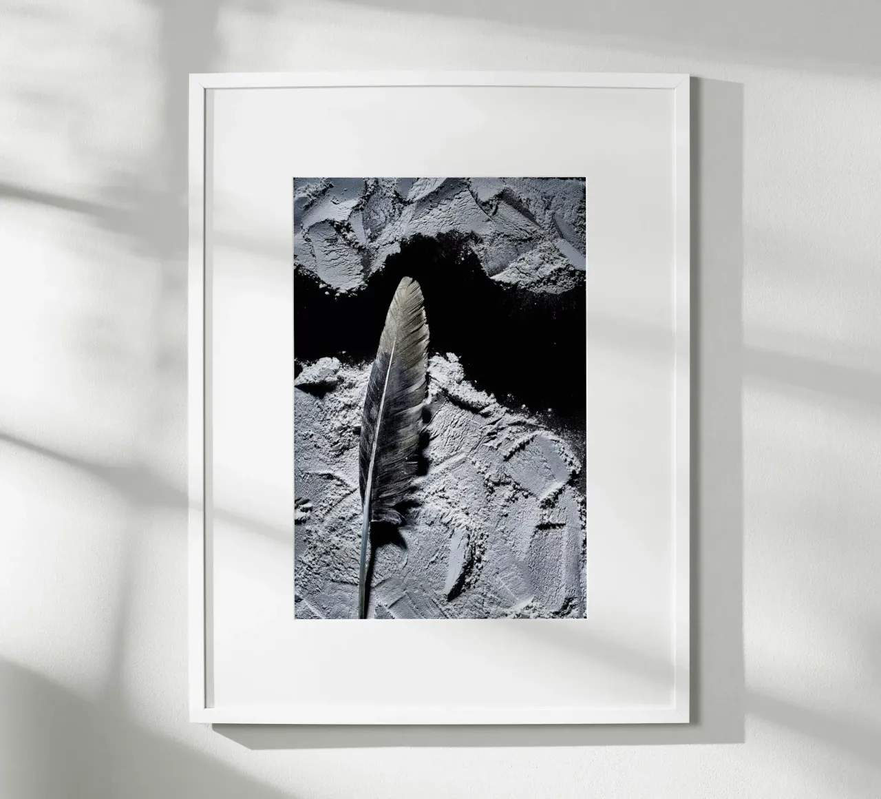 Federn 2 poster da neon* fotografie