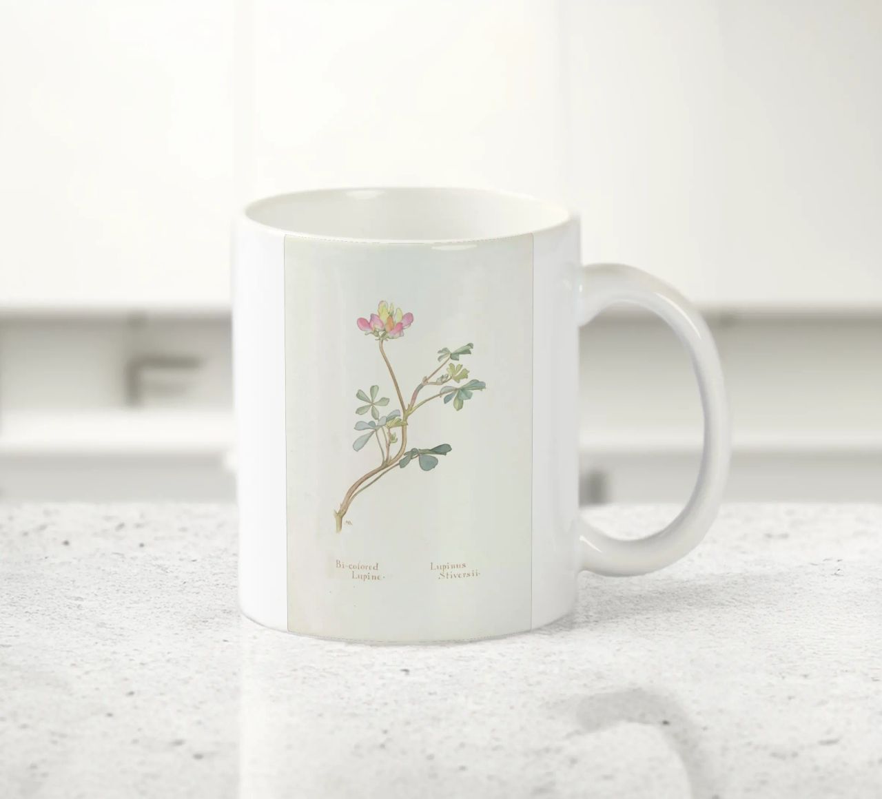 Bi-Coloured Lupine, Lupinus Striversii, 1912 tazza in ceramica da Artokoloro Quint Lox Ltd