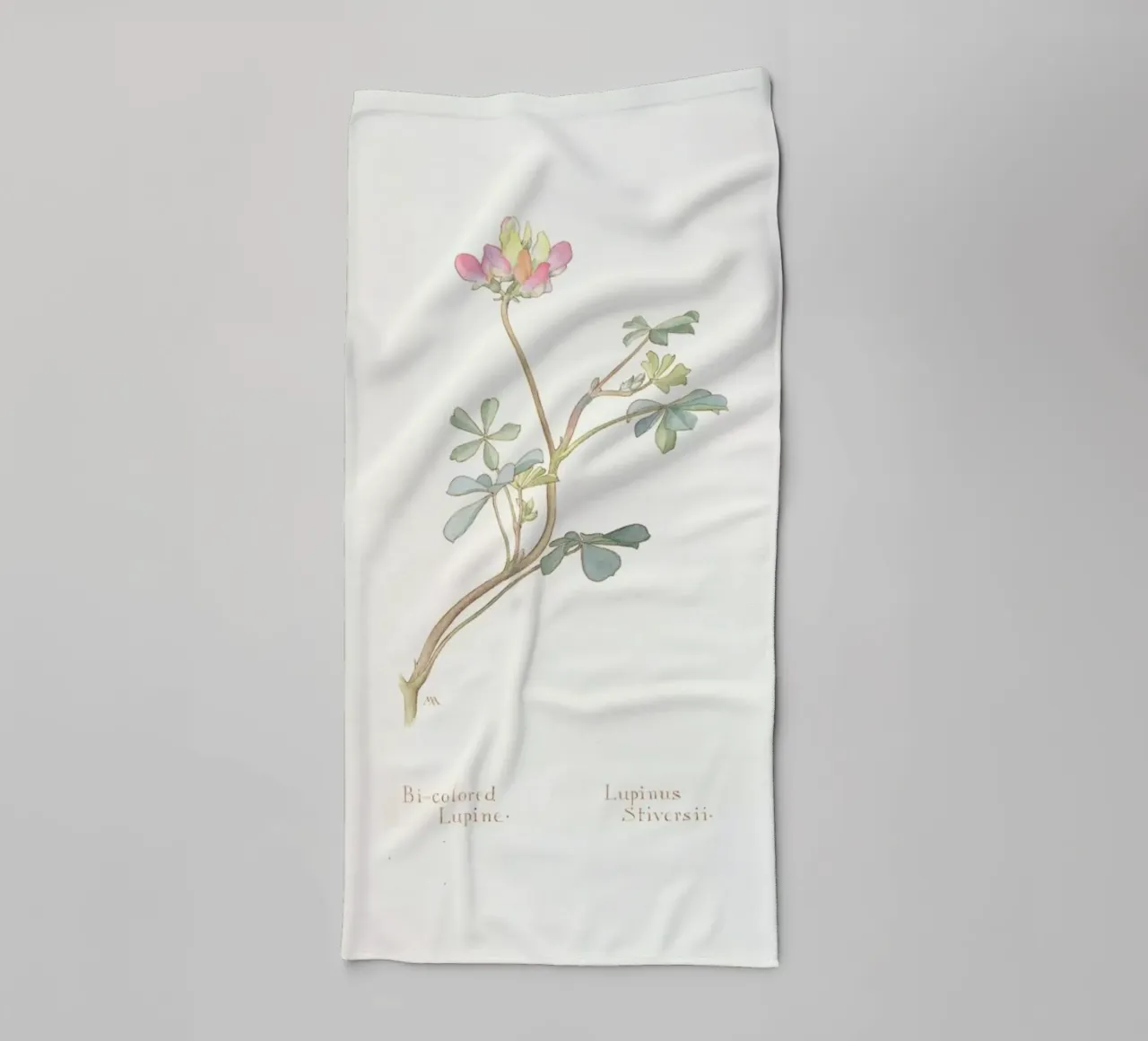 Bi-Coloured Lupine, Lupinus Striversii, 1912 asciugamano da bagno da Artokoloro Quint Lox Ltd