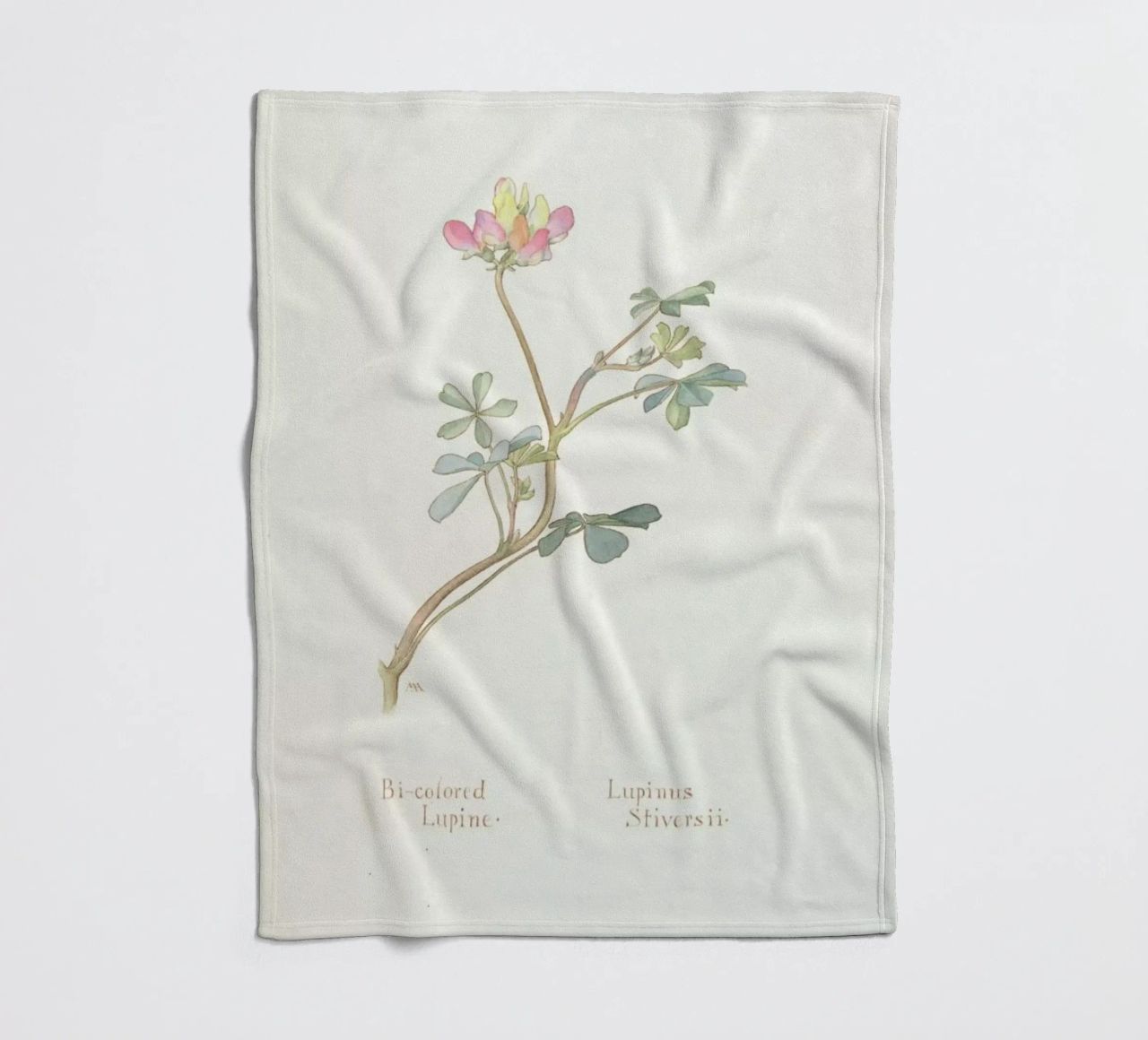 Bi-Coloured Lupine, Lupinus Striversii, 1912 Fleecedecke von Artokoloro Quint Lox Ltd