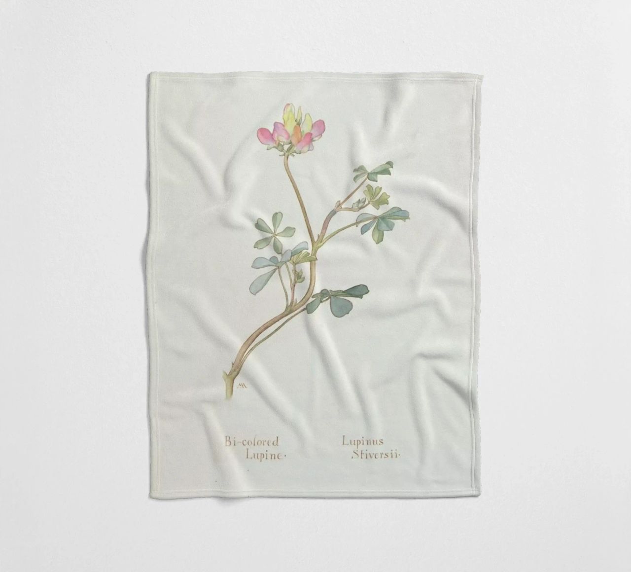 Bi-Coloured Lupine, Lupinus Striversii, 1912 Fleecedecke von Artokoloro Quint Lox Ltd