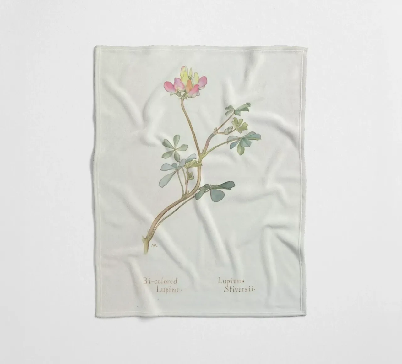 Bi-Coloured Lupine, Lupinus Striversii, 1912 coperta in pile da Artokoloro Quint Lox Ltd