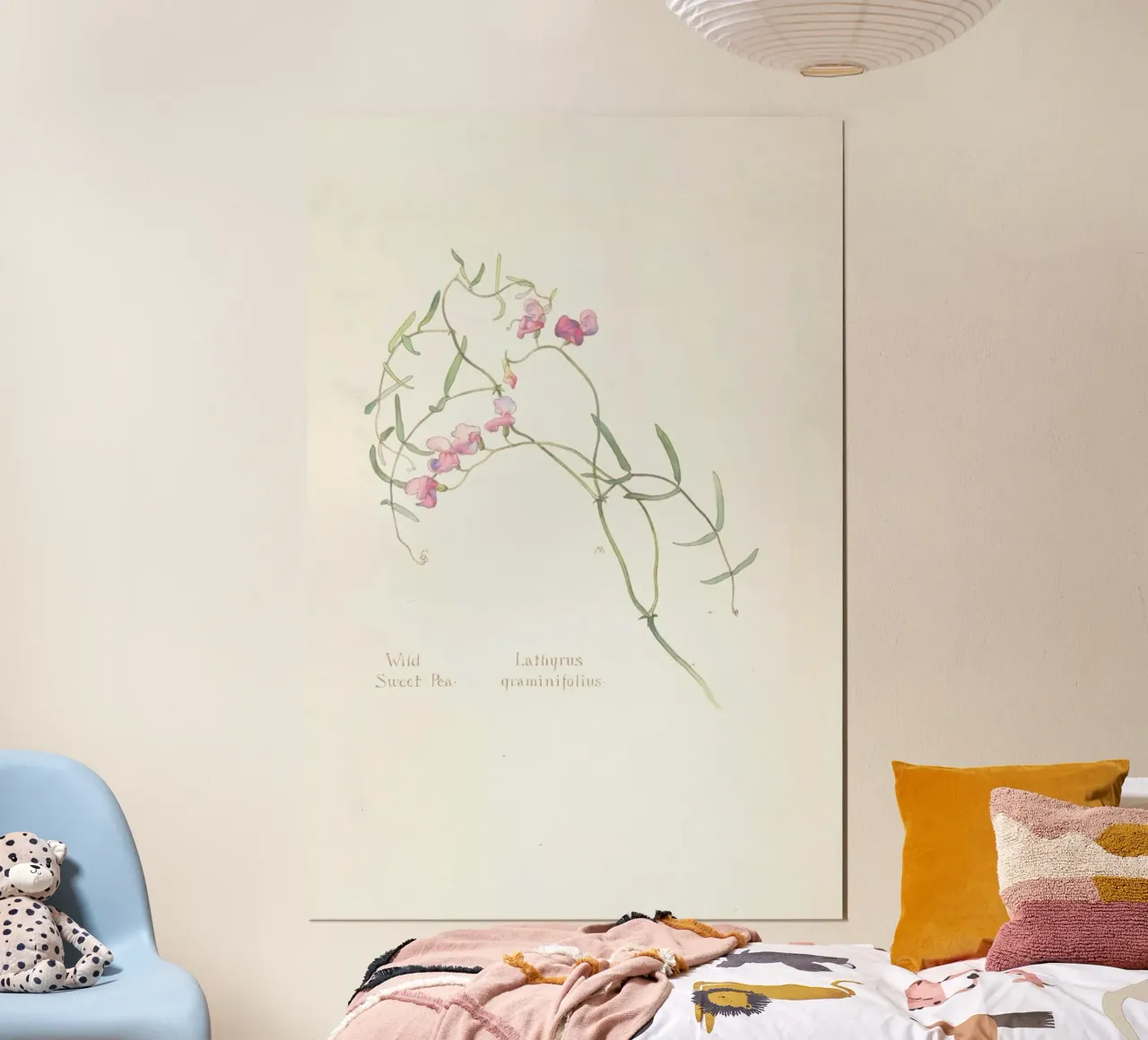 Wild Sweet Pea, Lathyrus Graminifolius, 1912 - Margaret Neilson Armstrong poster con telaio in legno da Artokoloro Quint Lox Ltd