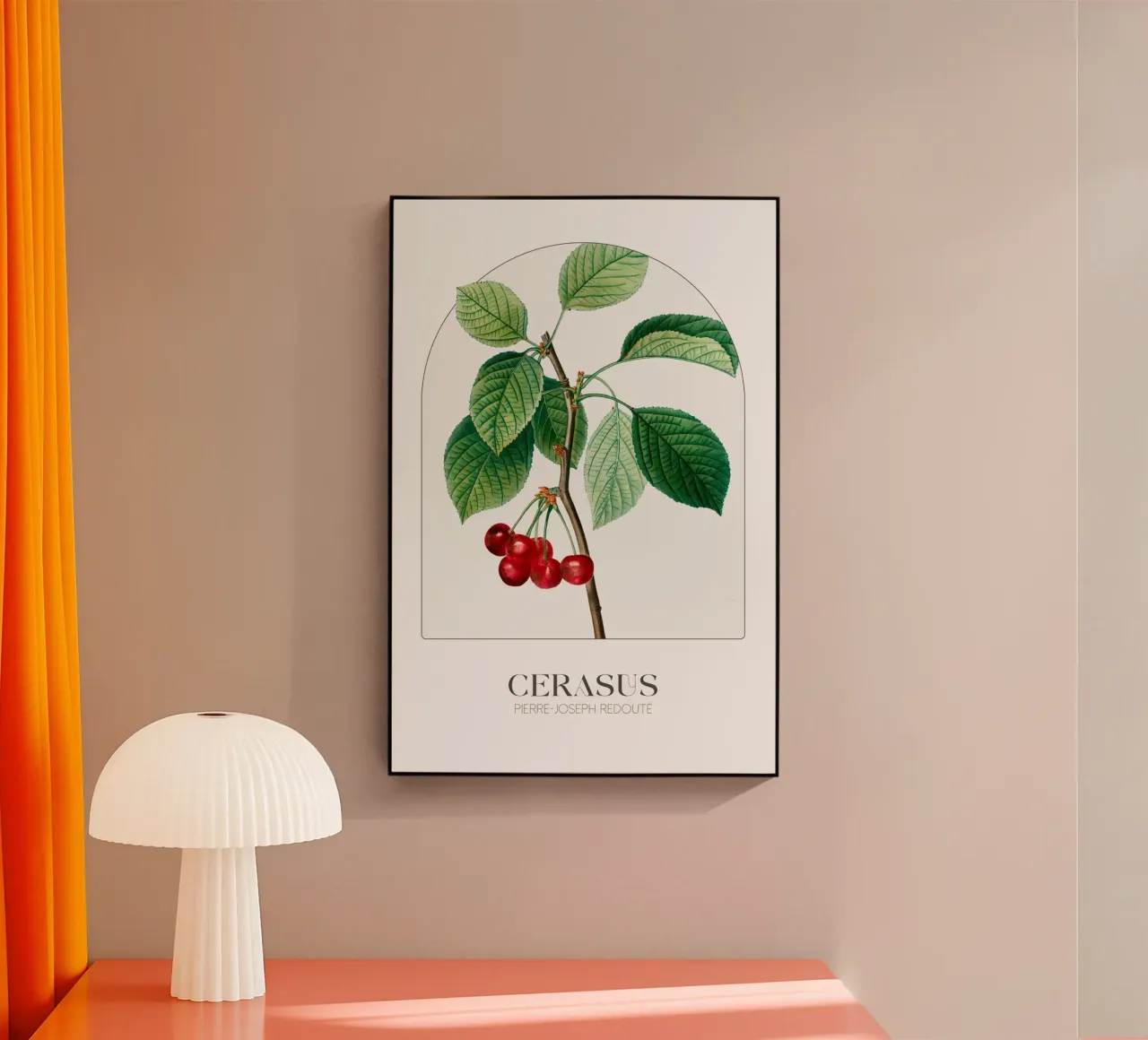 Redoute - Cerasus plexiglass da Old Masters