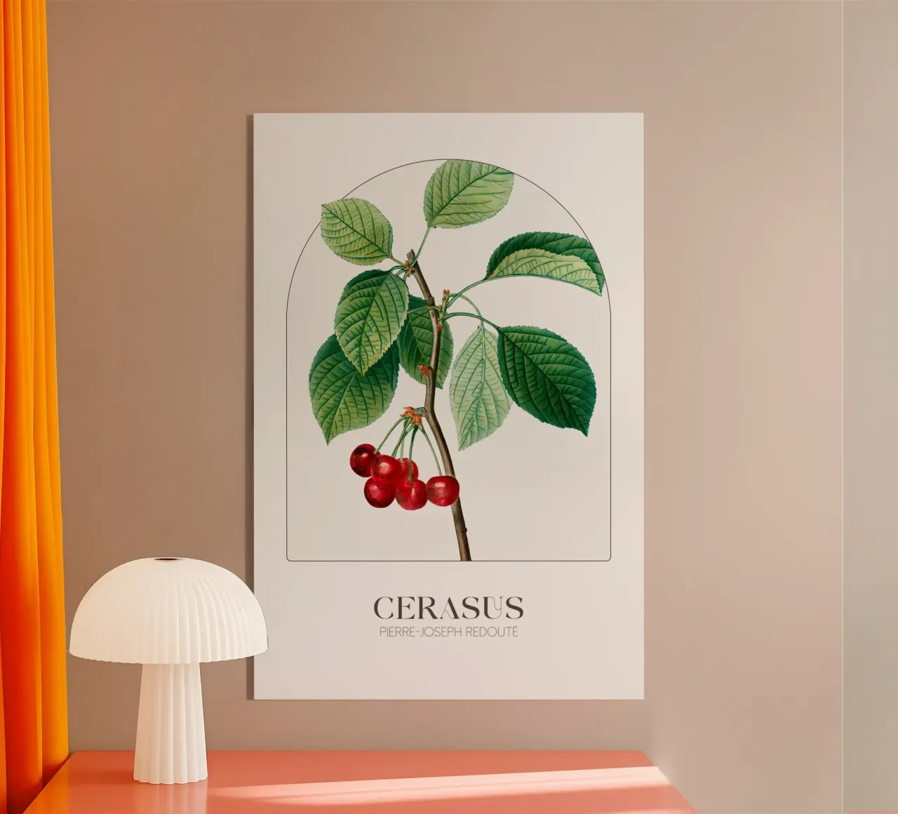 Redoute - Cerasus plexiglass da Old Masters