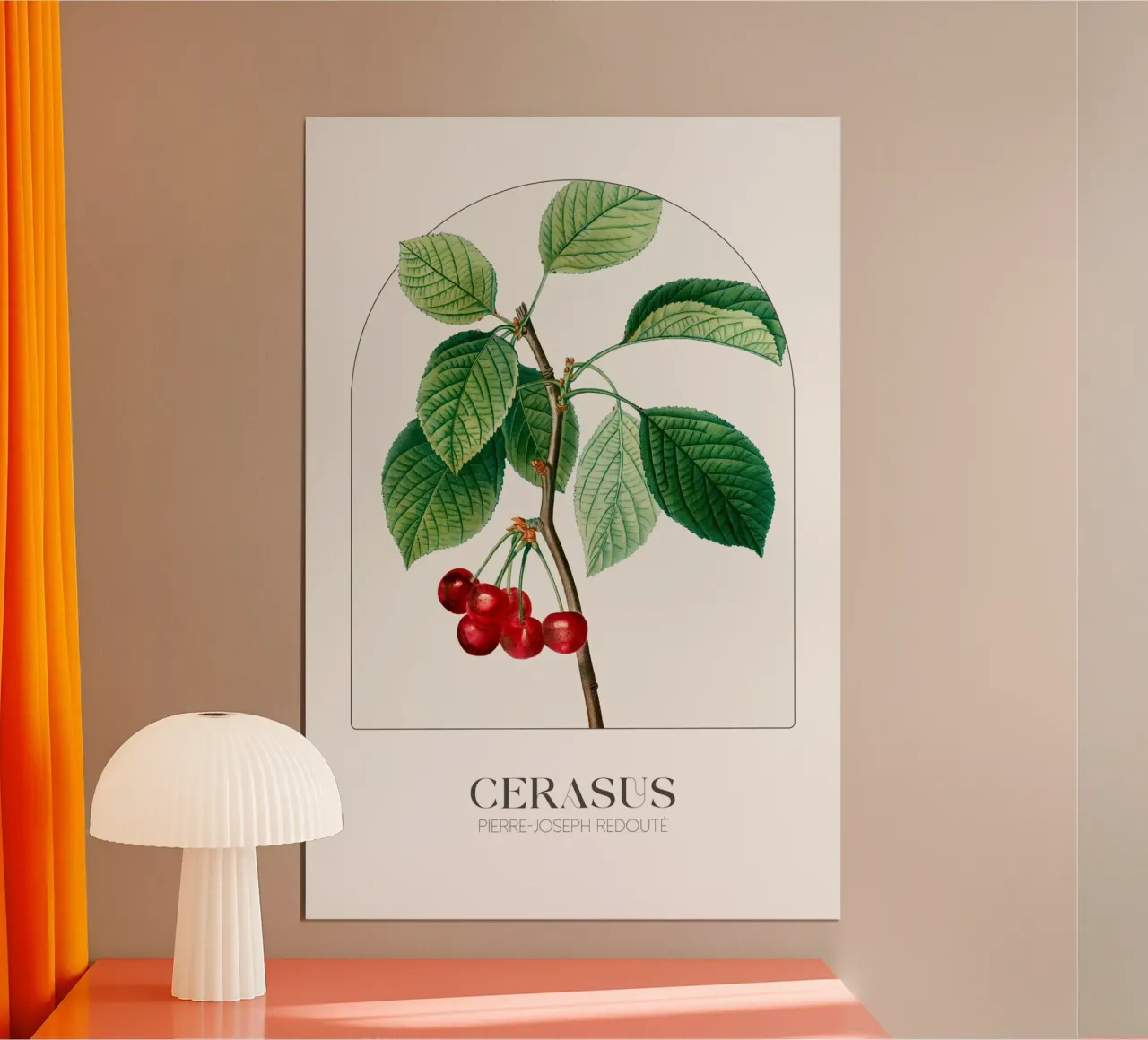 Redoute - Cerasus poster met aluminium frame van Old Masters