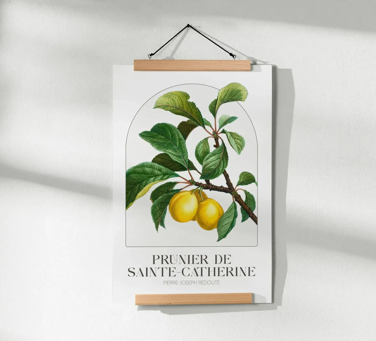 Redoute - Prunier de Sainte Catherine poster con telaio in plastica da Old Masters