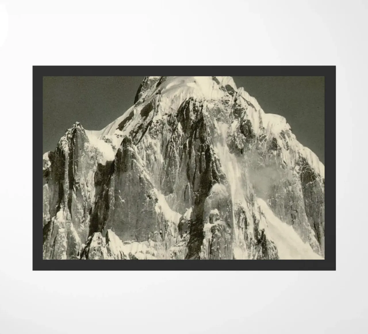 Moon Phases zerbino da Florent Bodart