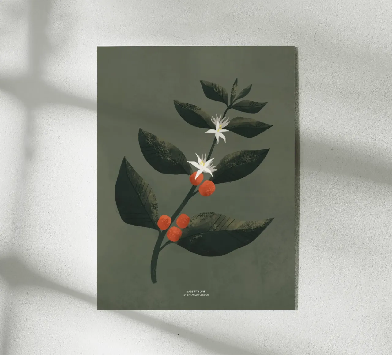 IMPIANTO DI CAFFÈ plexiglass da sarahlenadesign