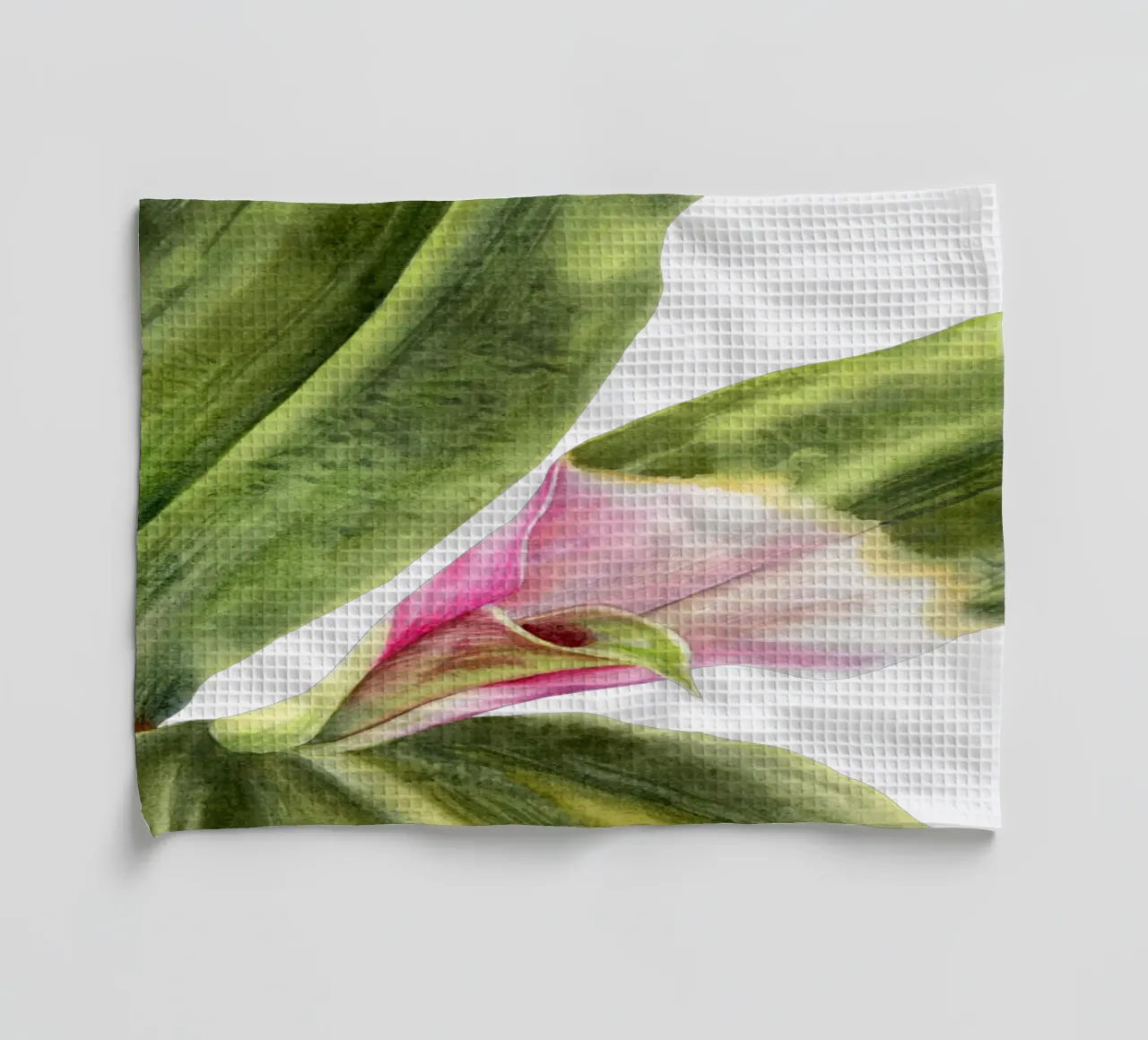 Tradescantia fluminensis 'Maiden's Blush' Zimmerpflanze torchon de youdesignme