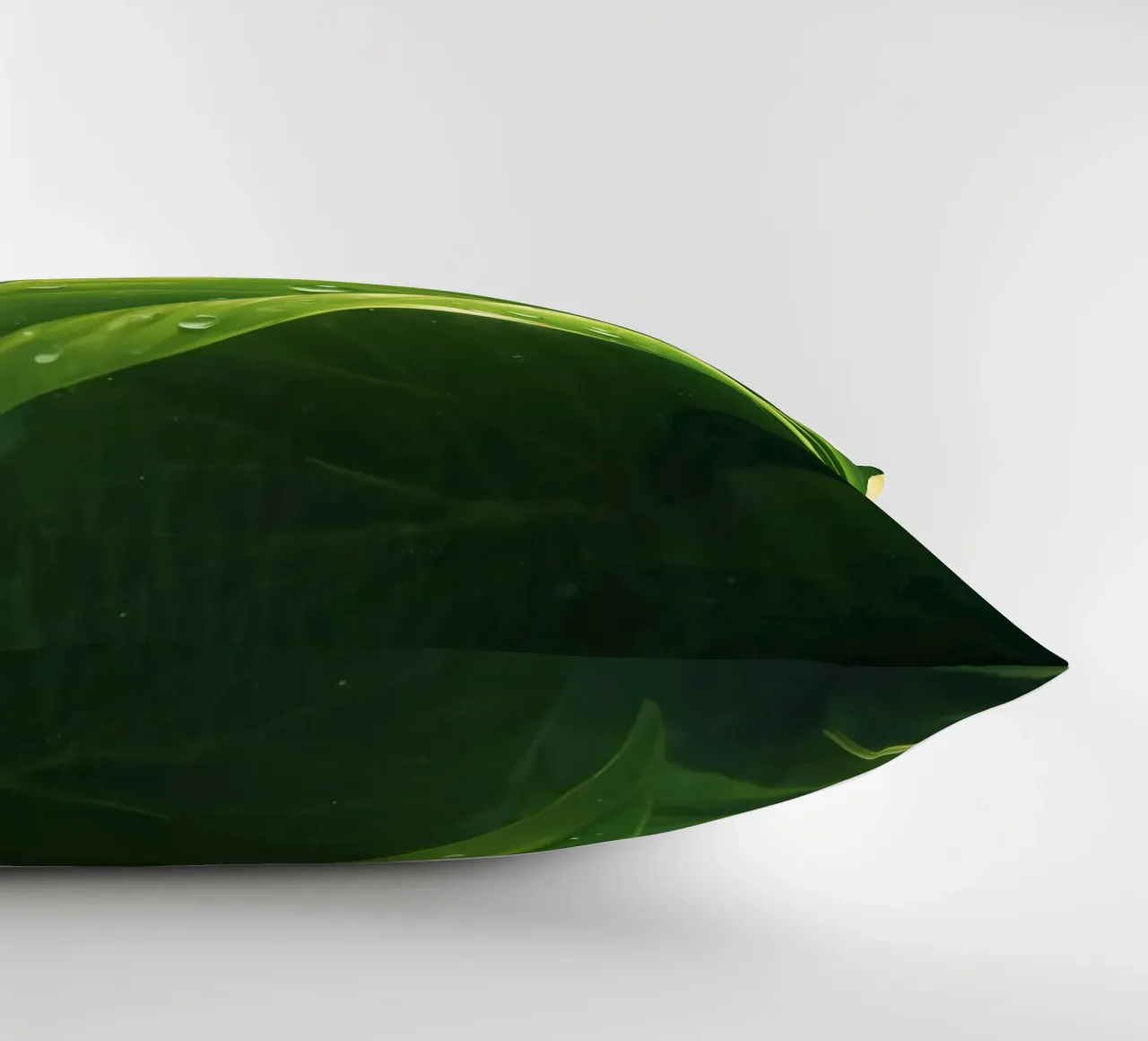 Verde lussureggiante con goccioline scintillanti illuminate dalla luce del sole cuscino da DesignDoodle