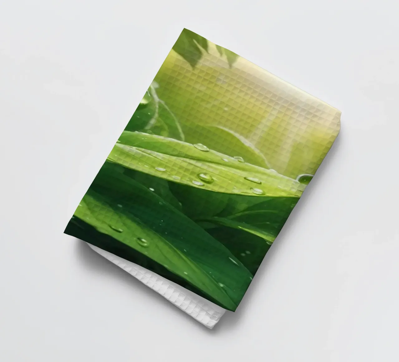 Foglie verdi e rigogliose che scintillano alla luce del sole con gocce d'acqua canovaccio da cucina da DesignDoodle