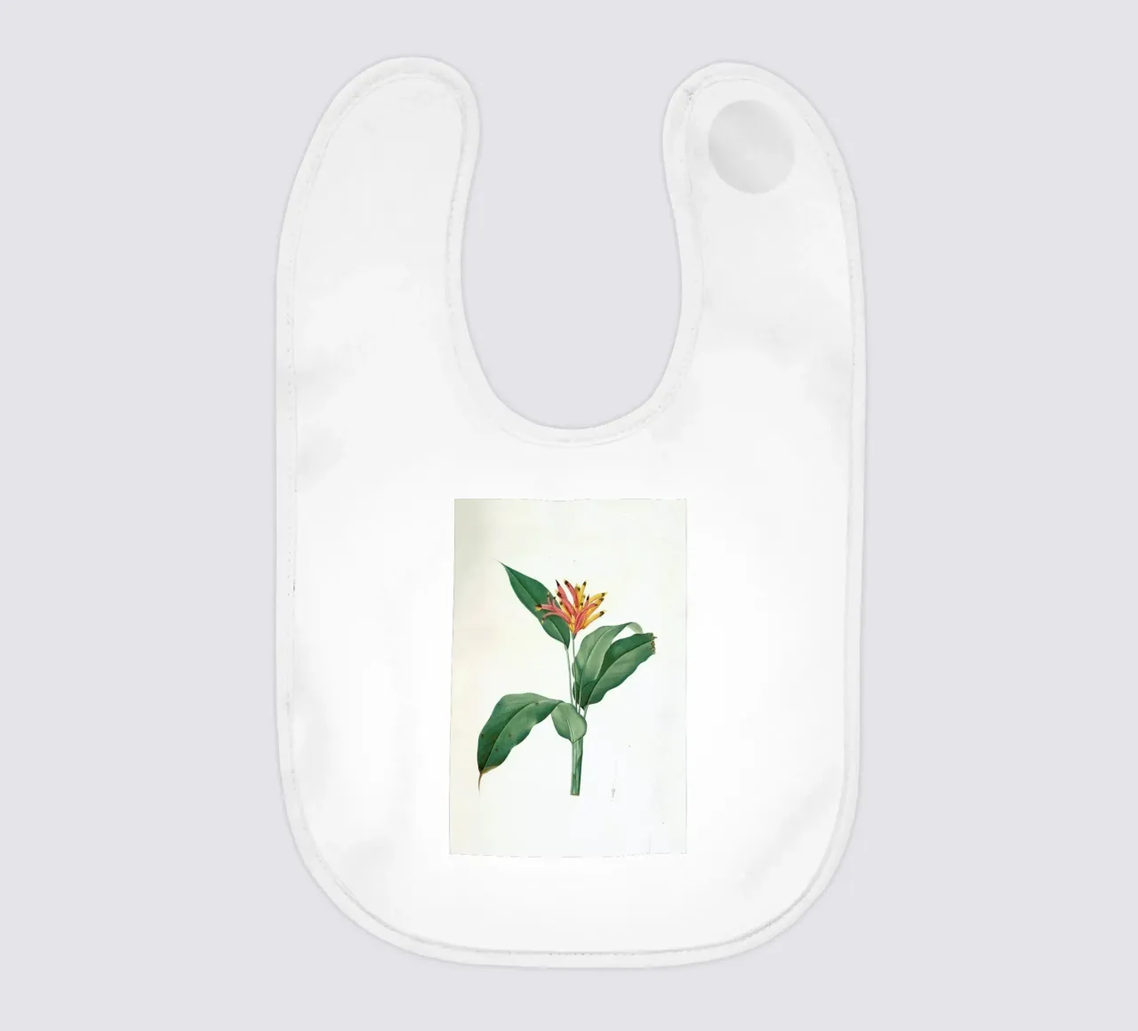 Heliconia psittacorum, Parrot Flower -Pierre Joseph bavaglino da Artokoloro Quint Lox Ltd