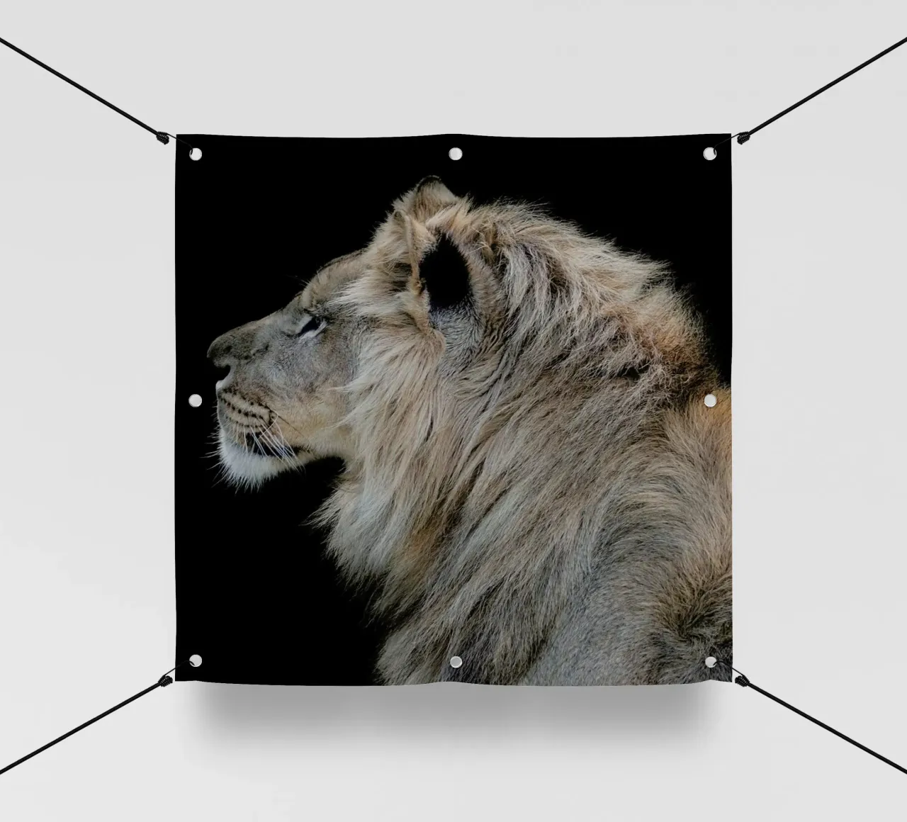 Lion Profile by Lothare Dambreville telo in pvc da EyeEm Mobile GmbH
