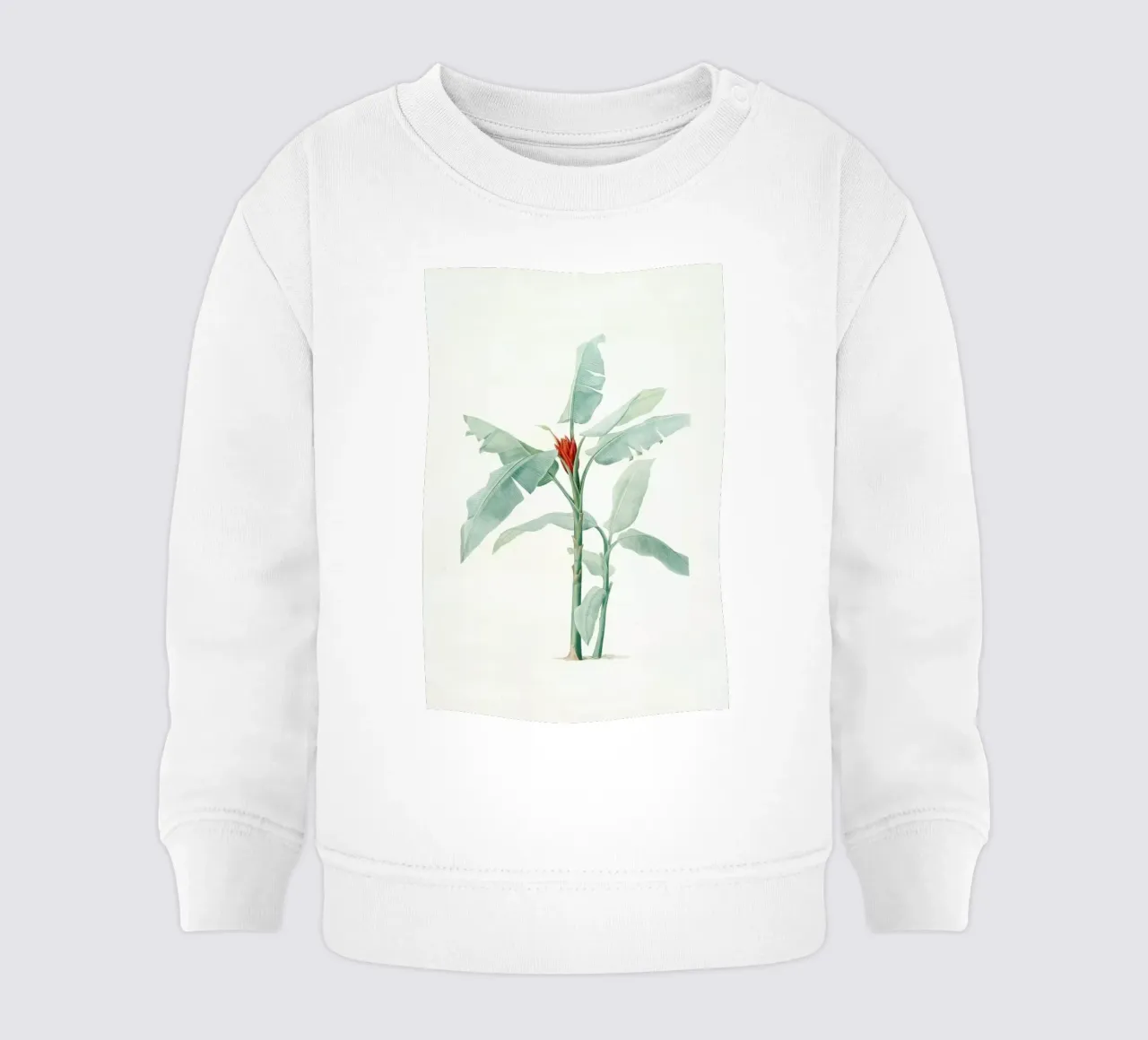 Musa coccinea, Redouté - Pierre Joseph felpa neonato da Artokoloro Quint Lox Ltd