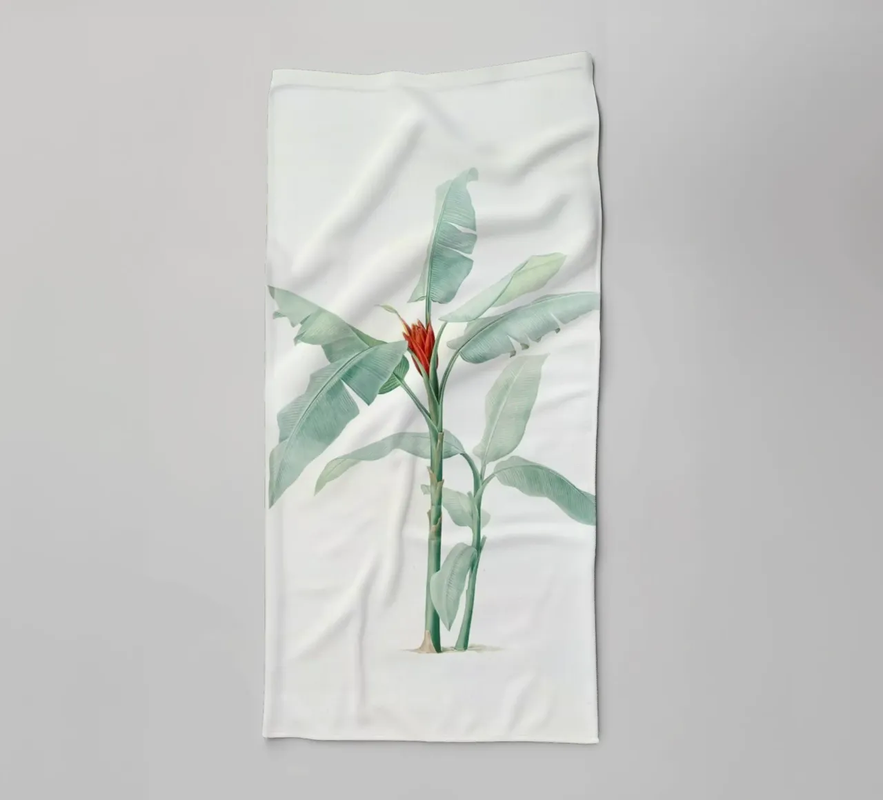 Musa coccinea, Redouté - Pierre Joseph asciugamano da bagno da Artokoloro Quint Lox Ltd