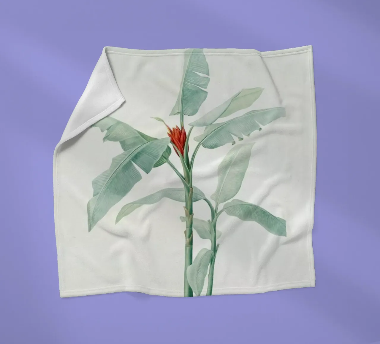 Musa coccinea, Redouté - Pierre Joseph coperta in pile da Artokoloro Quint Lox Ltd