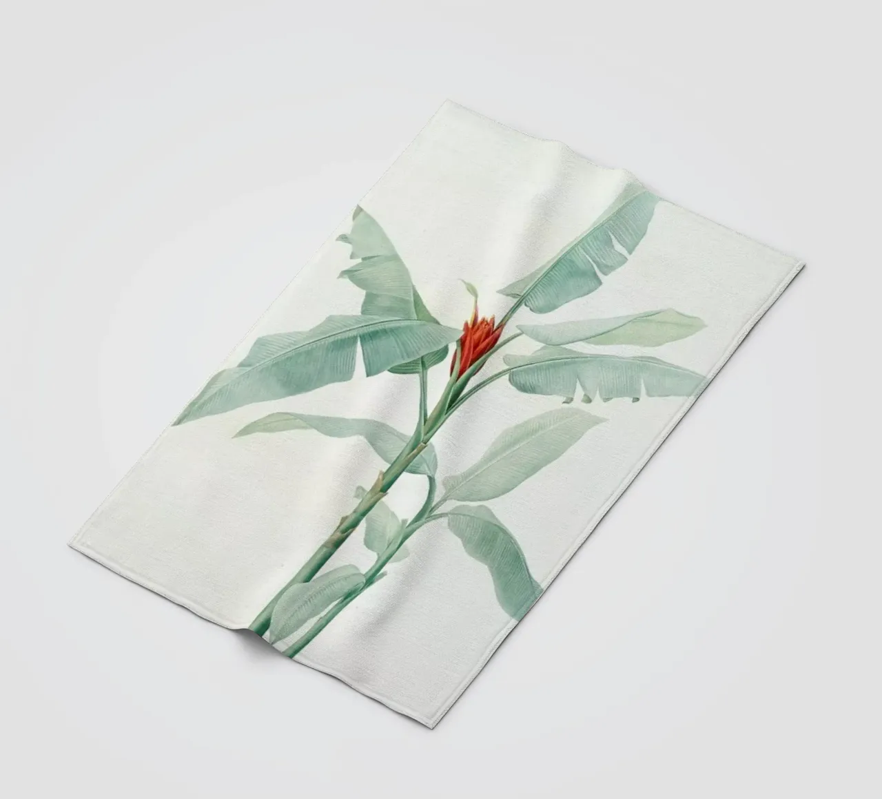 Musa coccinea, Redouté - Pierre Joseph coperta in pile da Artokoloro Quint Lox Ltd