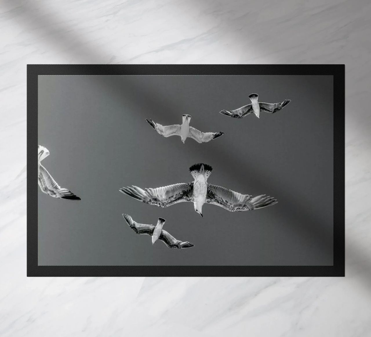 Soaring Birds zerbino da EyeEm Mobile GmbH