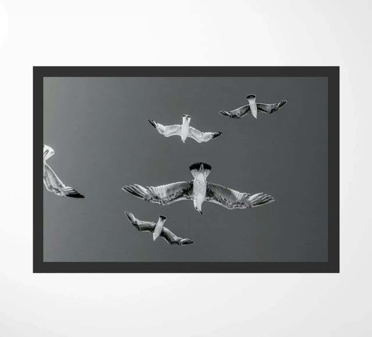Soaring Birds doormat by EyeEm Mobile GmbH