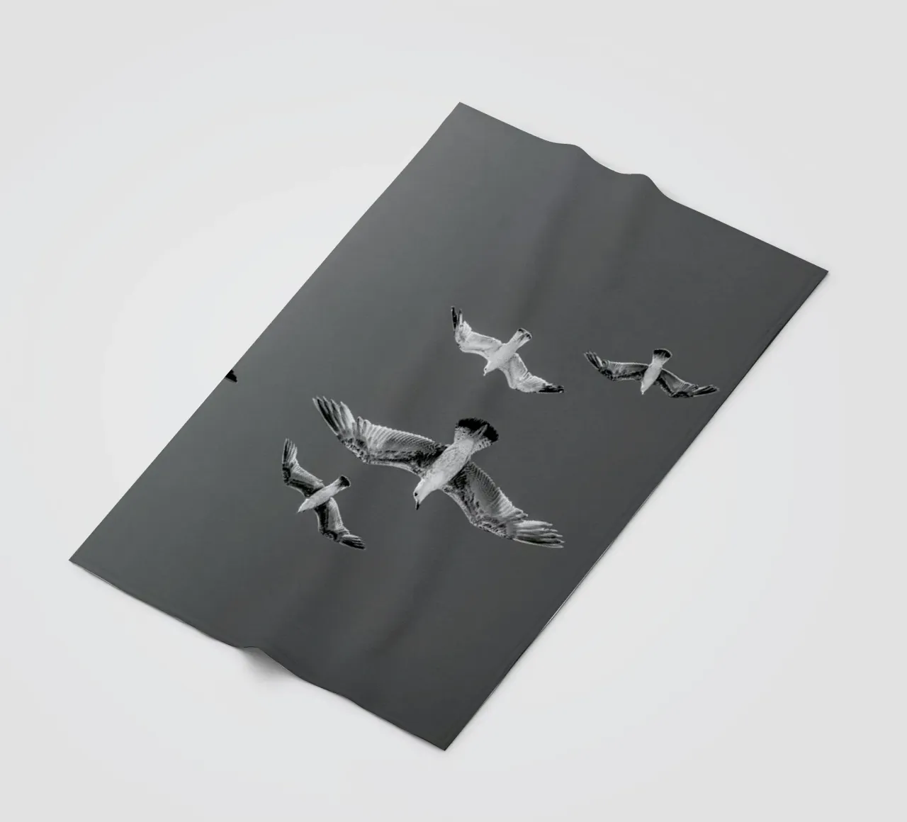 Soaring Birds coperta in pile da EyeEm Mobile GmbH