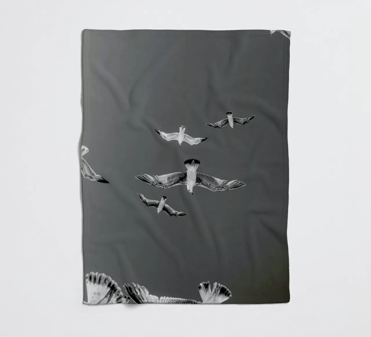 Soaring Birds coperta in pile da EyeEm Mobile GmbH